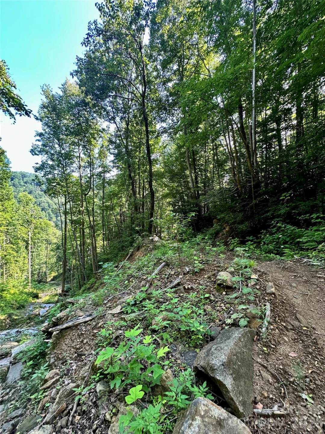 75 Fork Creek Road - Photo 8
