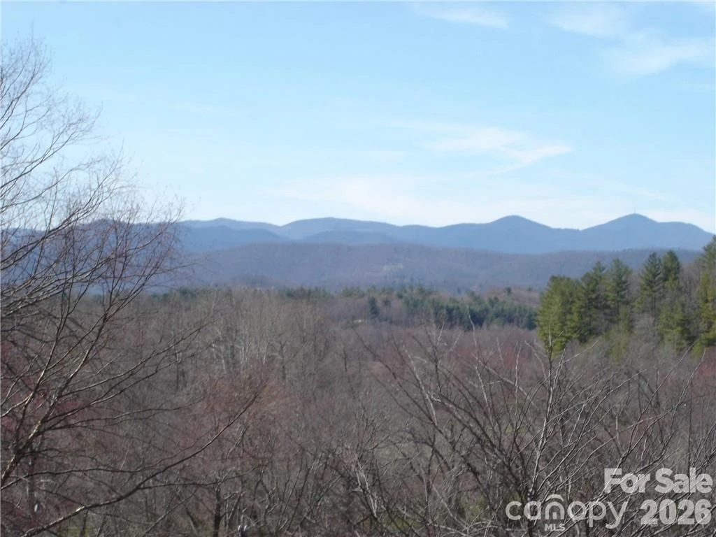 Lot #12 Cummings Cove Parkway #12