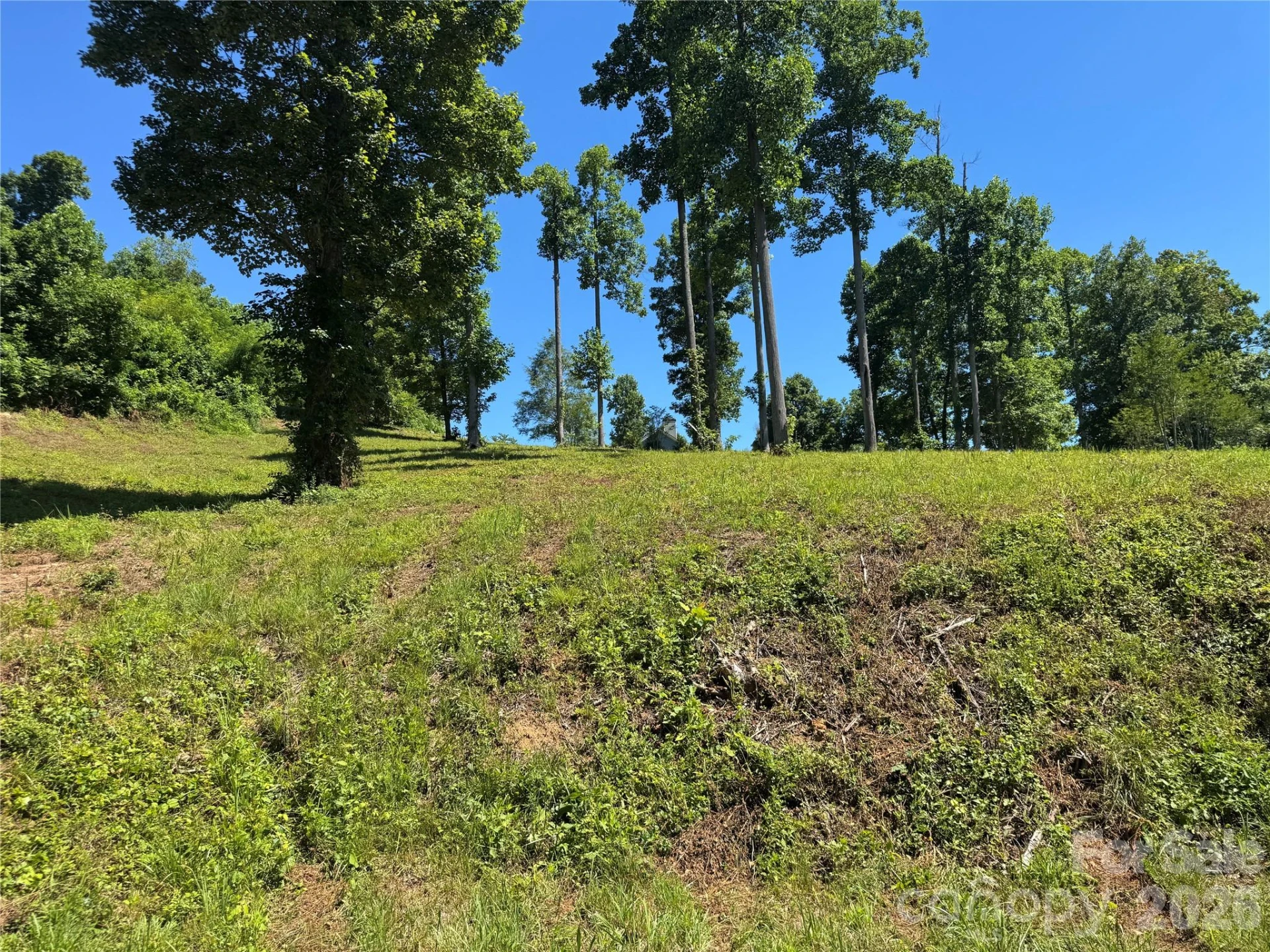 00 Glen Haven Cove - Photo 2