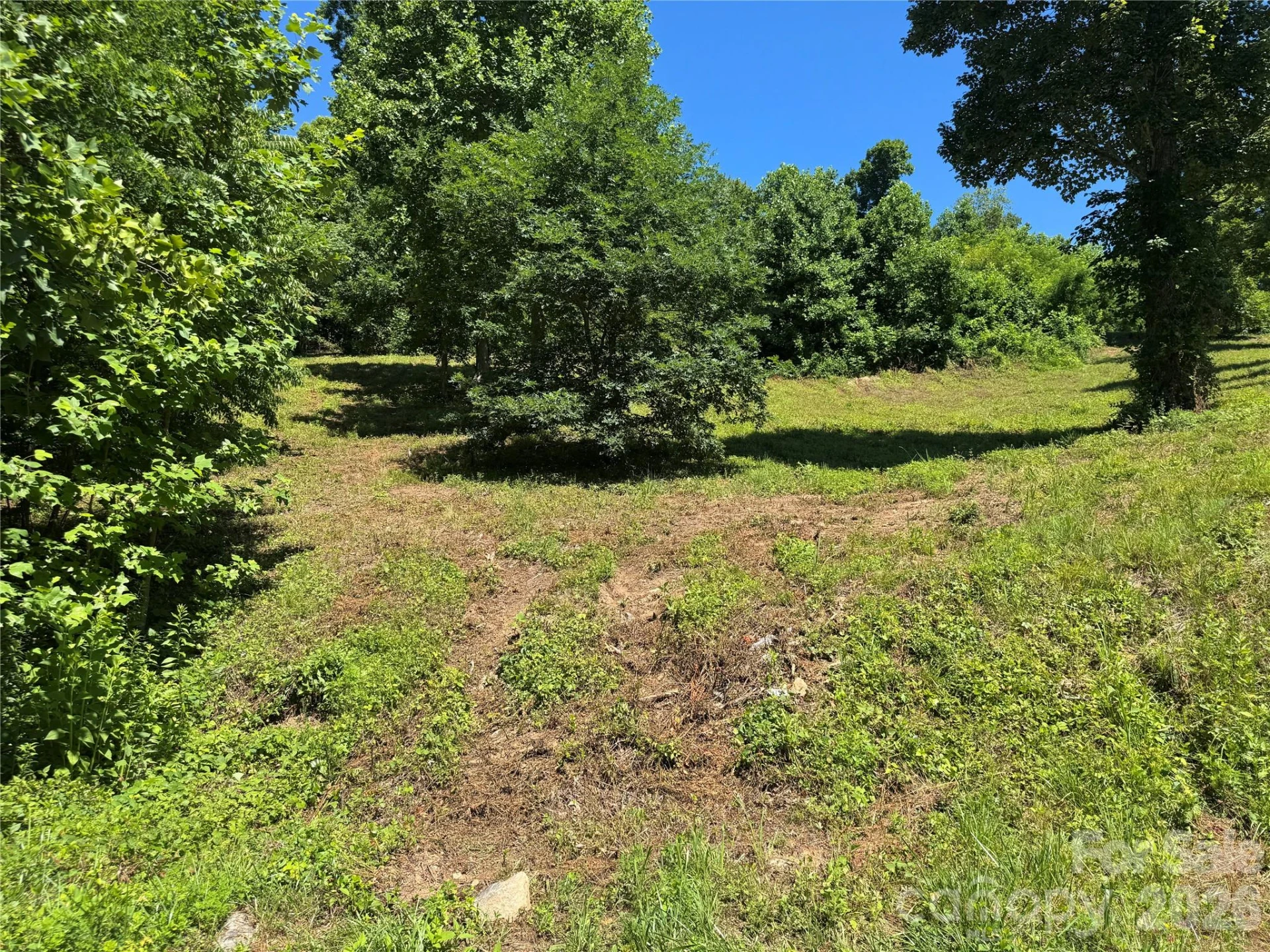 00 Glen Haven Cove - Photo 3