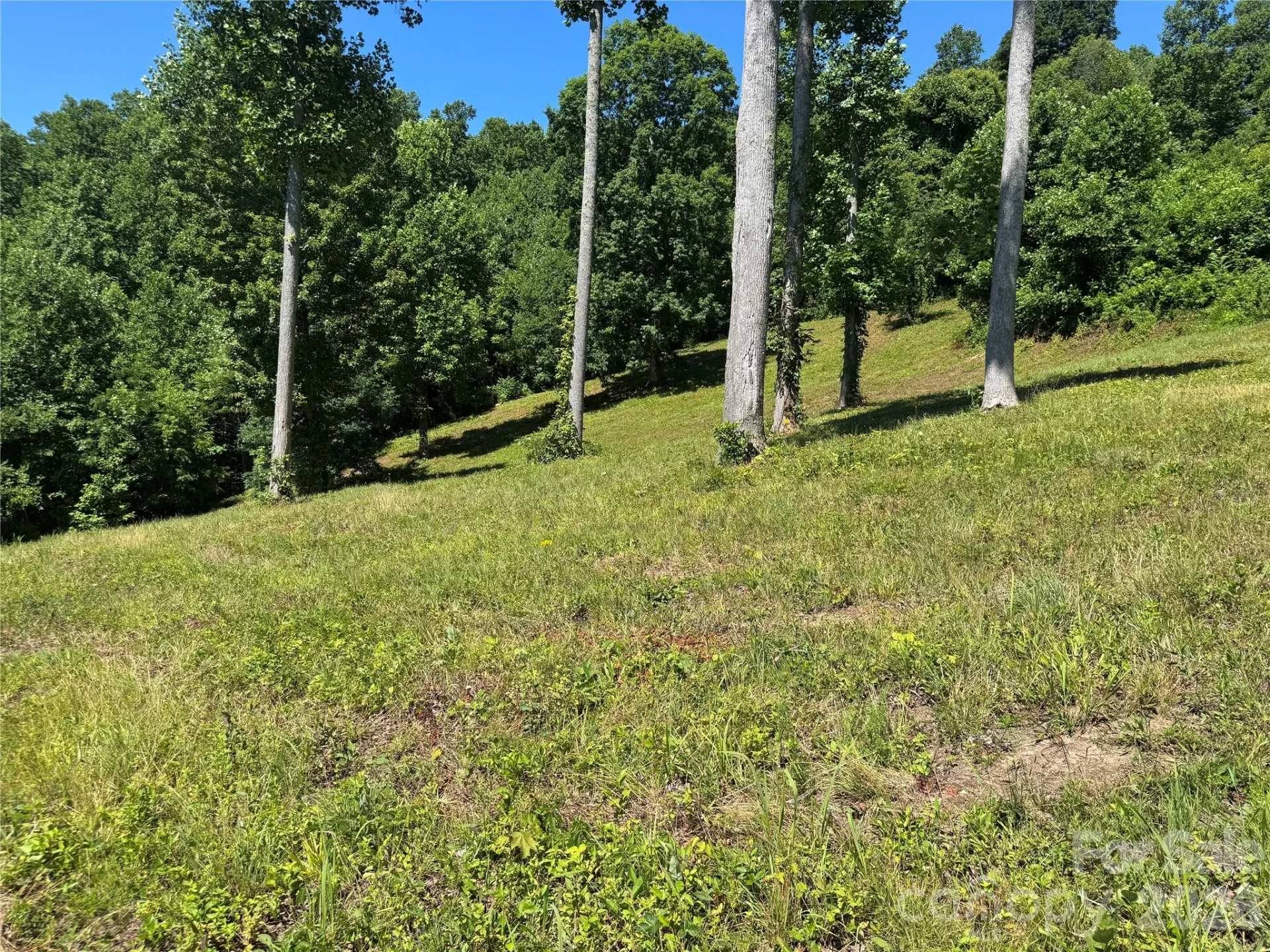 00 Glen Haven Cove - Photo 4