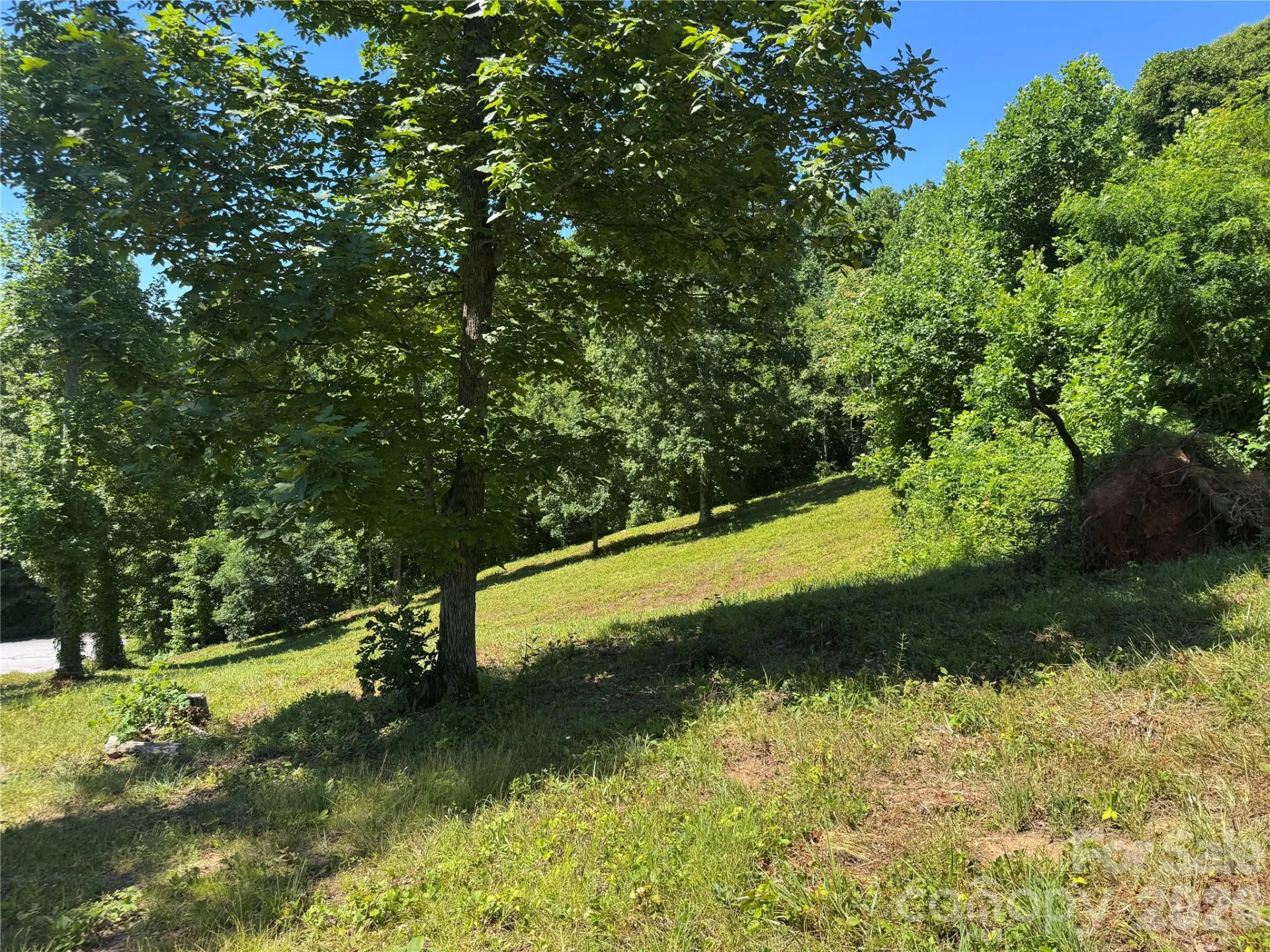 00 Glen Haven Cove - Photo 8
