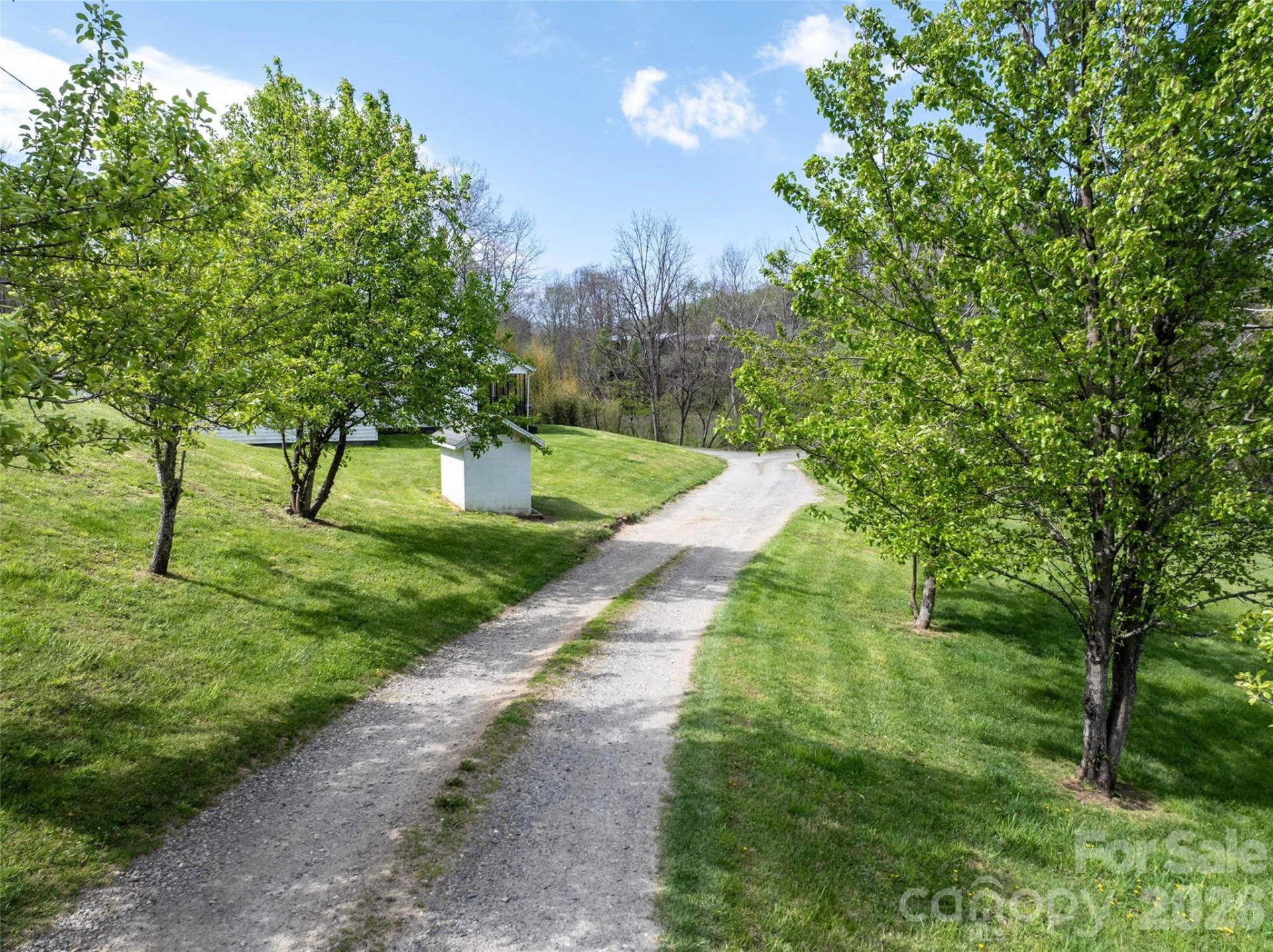 00 Blue Trail - Photo 6