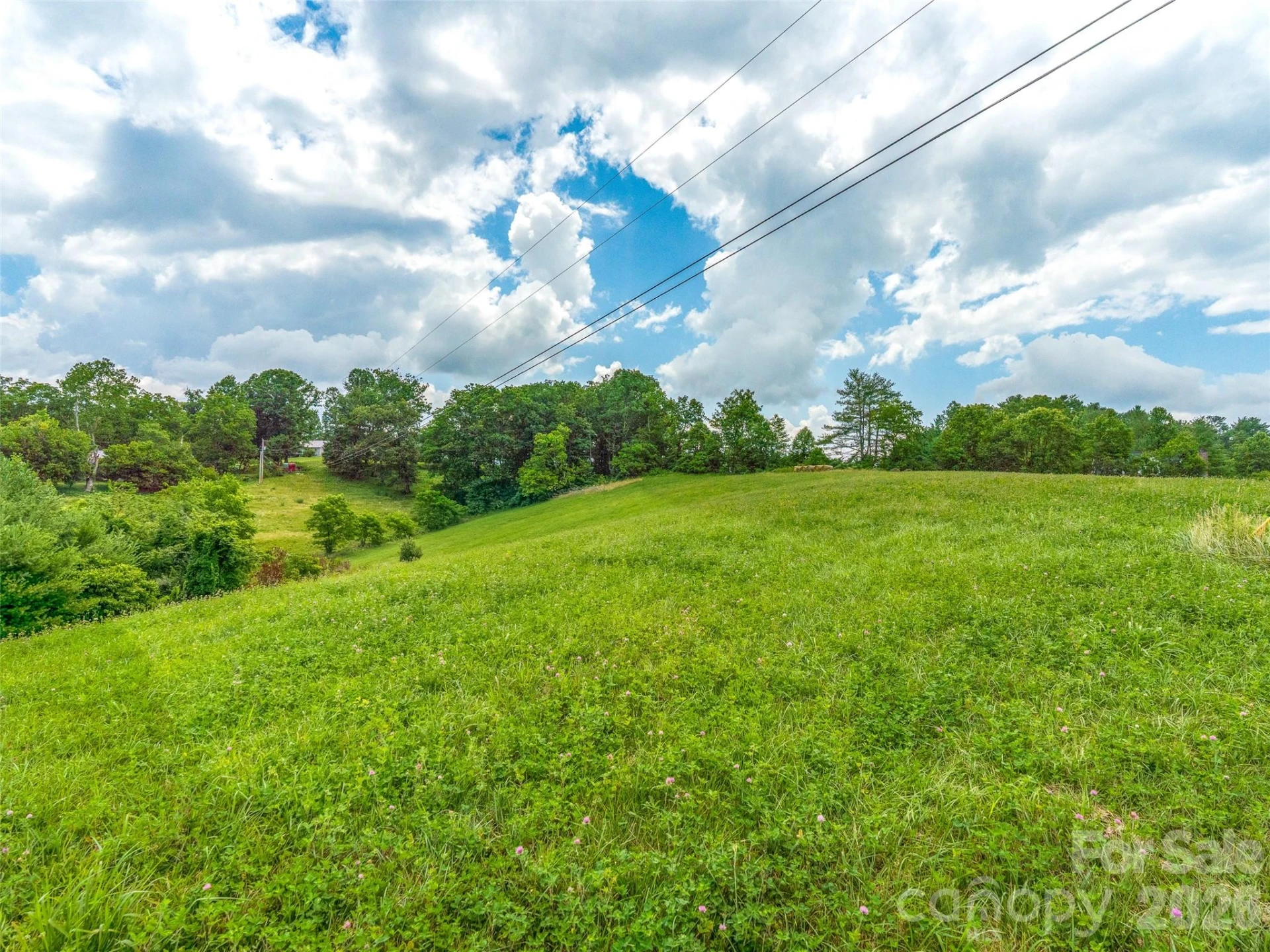 99999 Sprouse Town Road - Photo 11