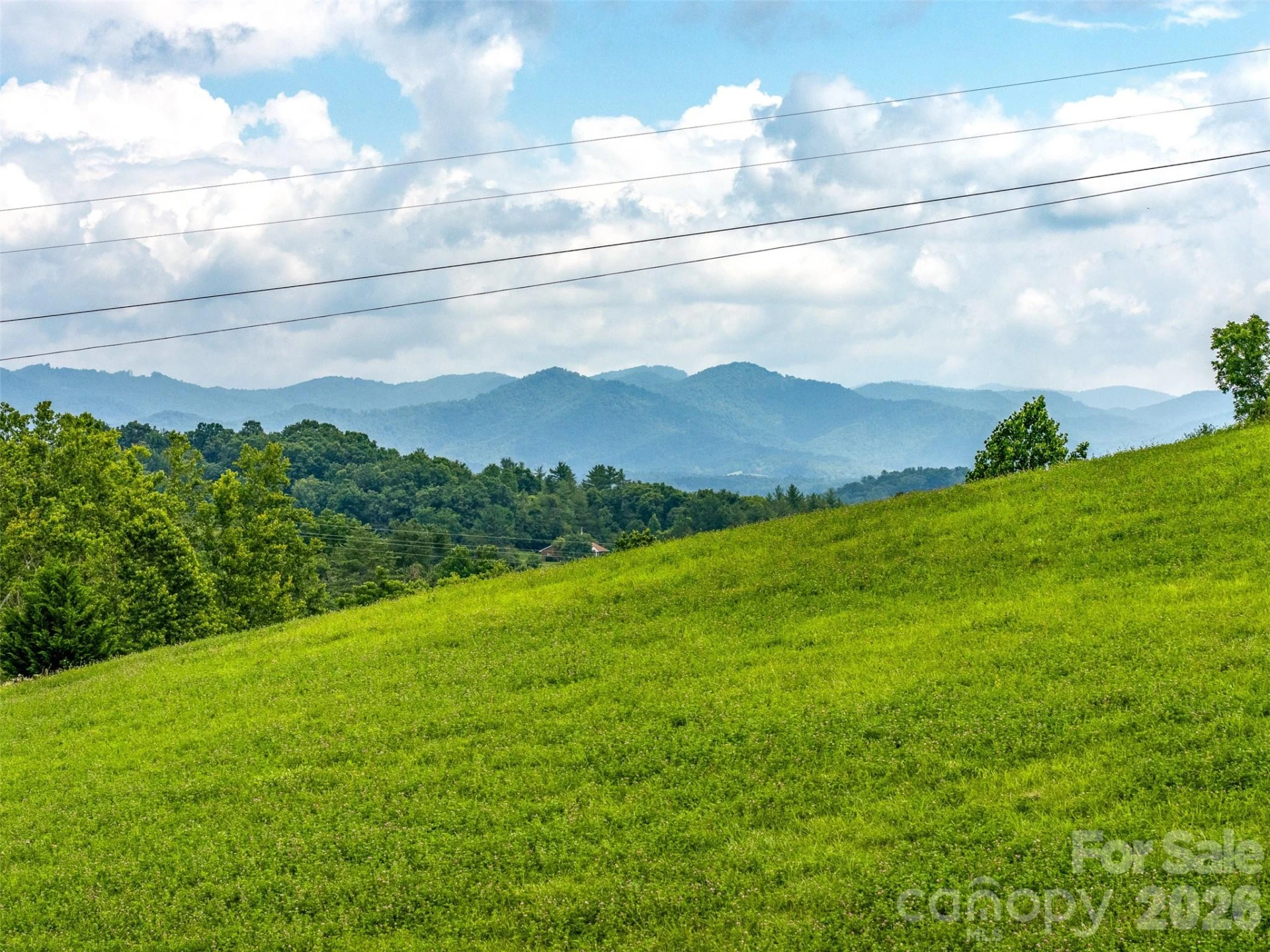 99999 Sprouse Town Road - Photo 4