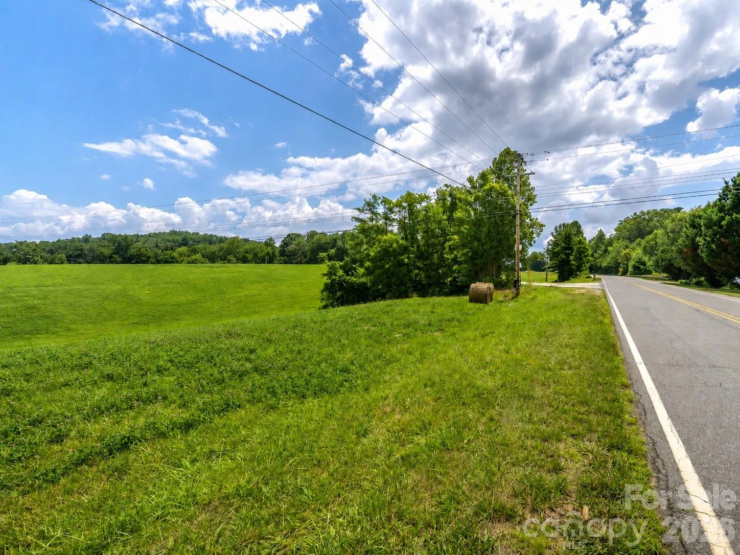 99999 Sprouse Town Road - Photo 5