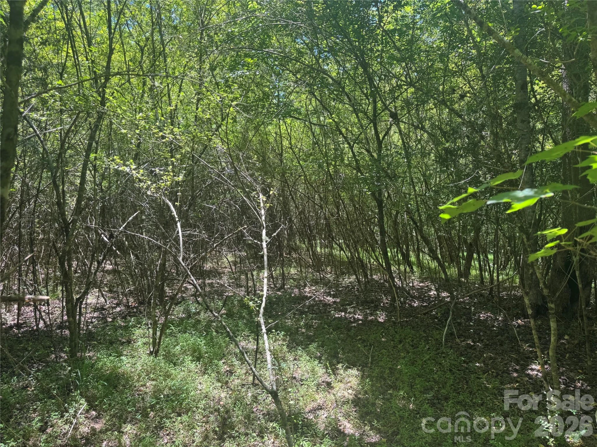 0 Desota Ridge #363 - Photo 8