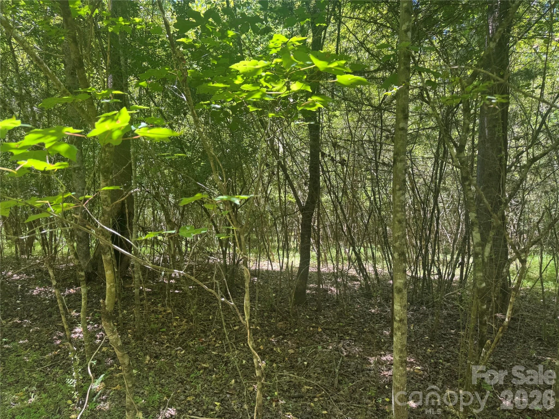 0 Desota Ridge #363 - Photo 9