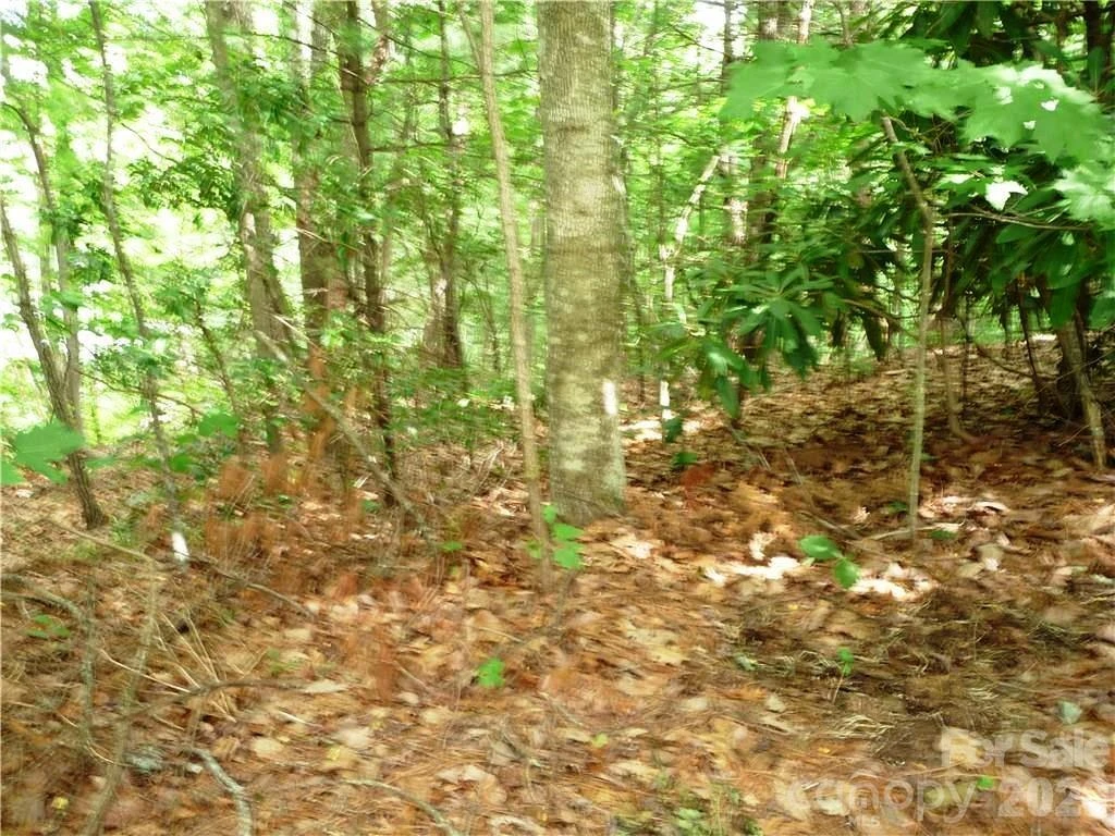 360 Kenmure Drive #4 - Photo 2