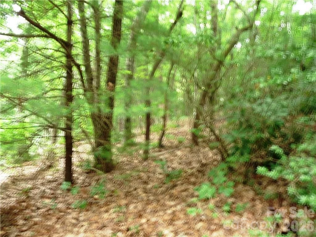 360 Kenmure Drive #4 - Photo 3