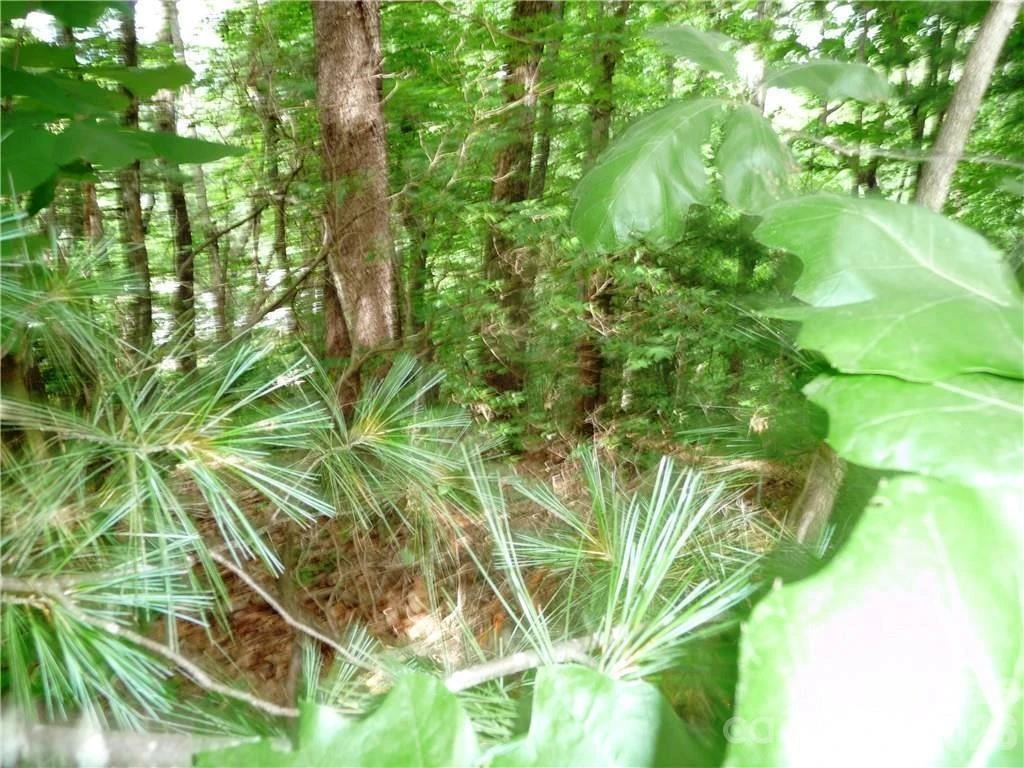 360 Kenmure Drive #4 - Photo 4