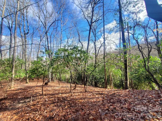 TBD Skye Drive, Pisgah Forest, NC, 28768