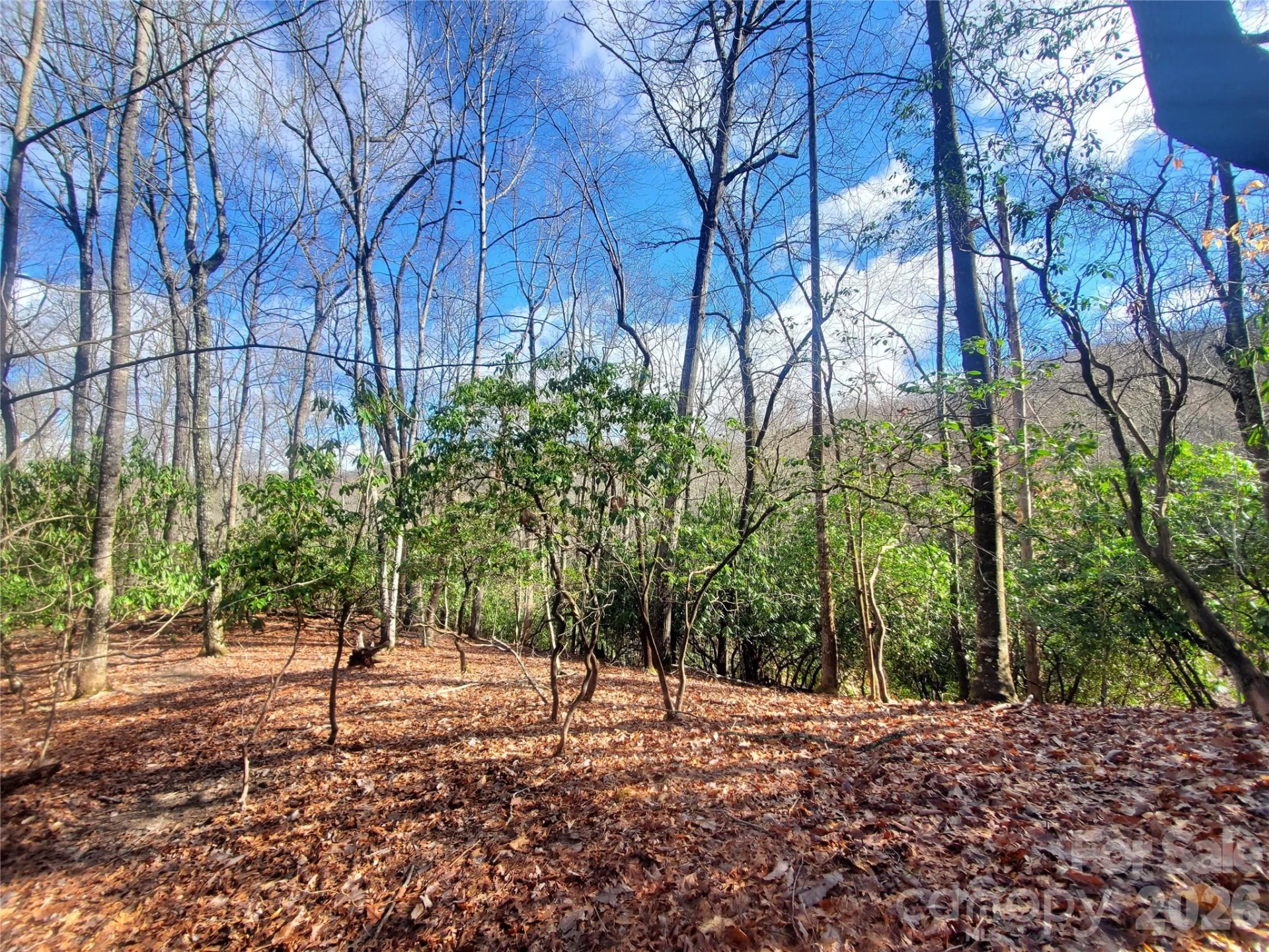 TBD Skye Drive #803a & 803b