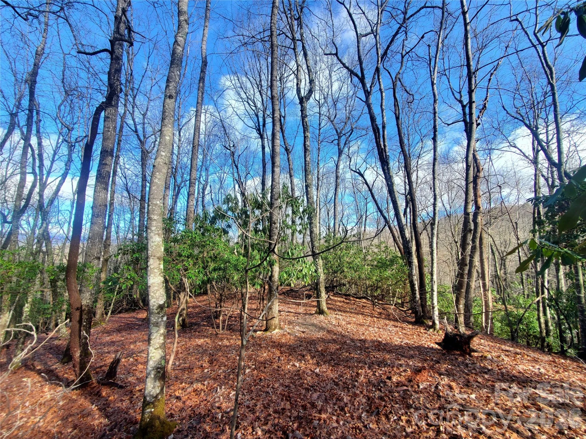 TBD Skye Drive #803a & 803b - Photo 2
