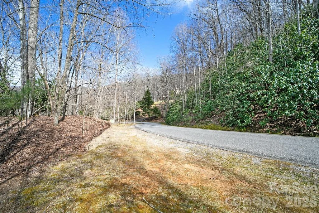 TBD Skye Drive #803a & 803b - Photo 12