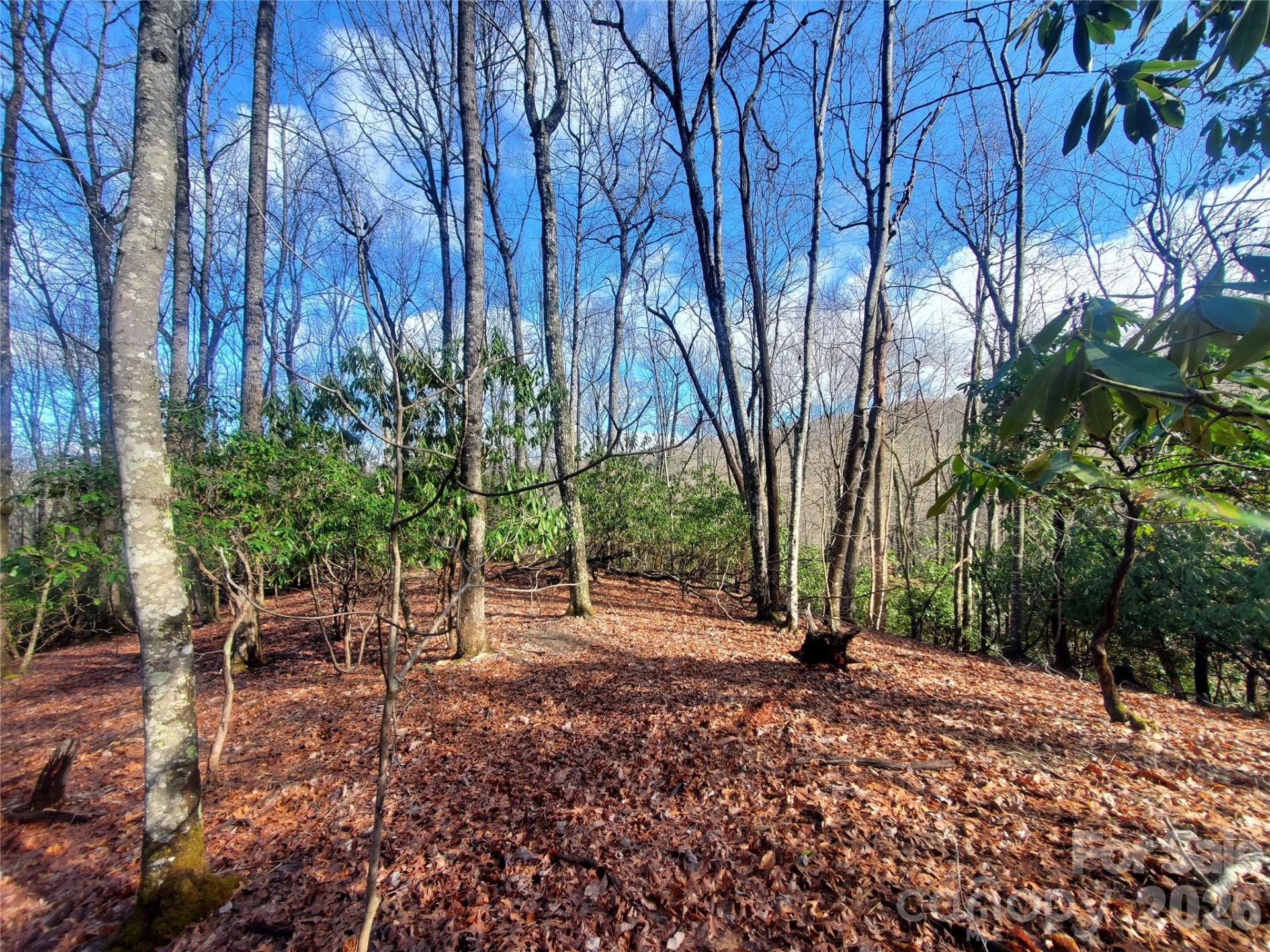 TBD Skye Drive #803a & 803b - Photo 3