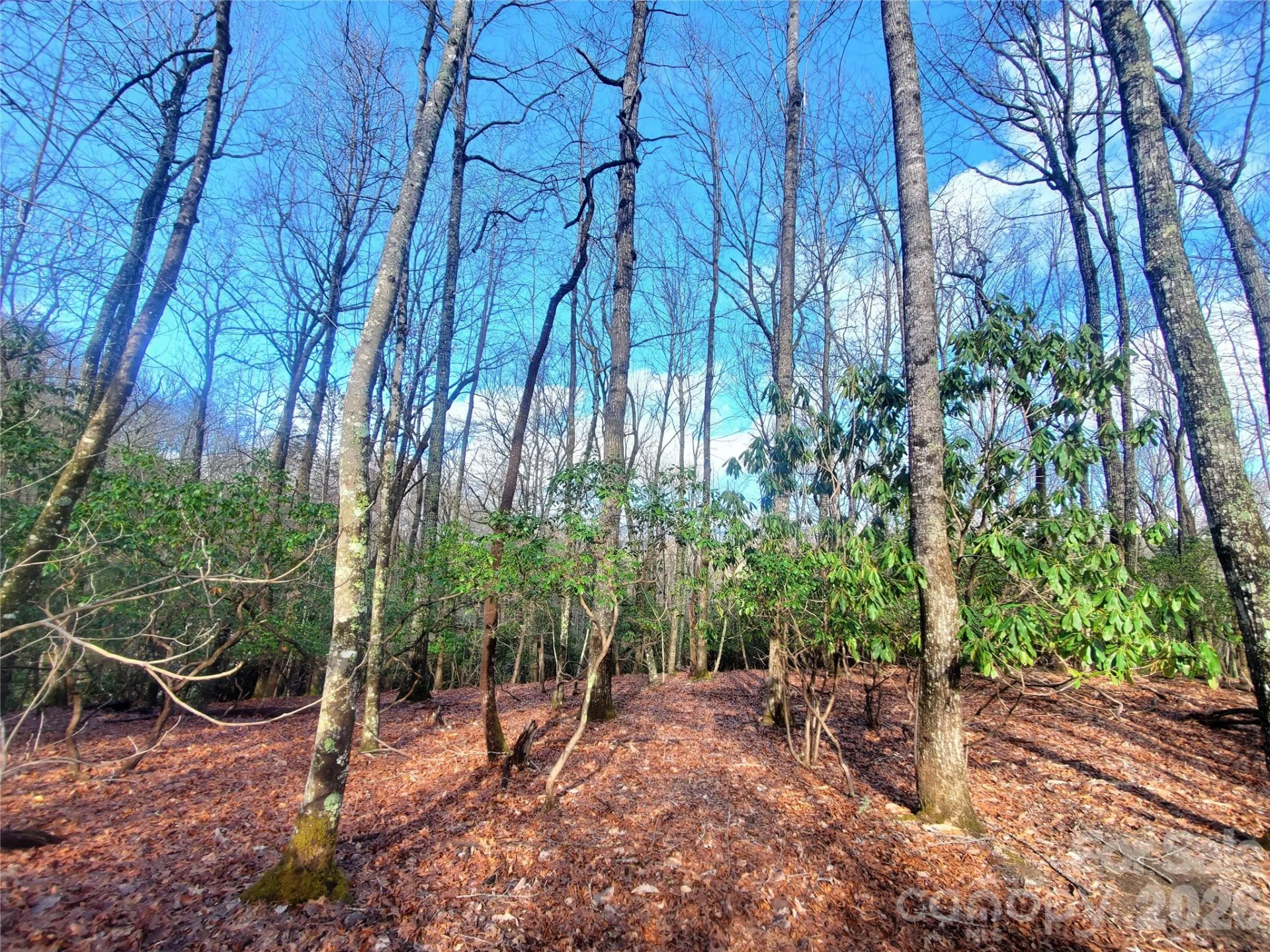 TBD Skye Drive #803a & 803b - Photo 4