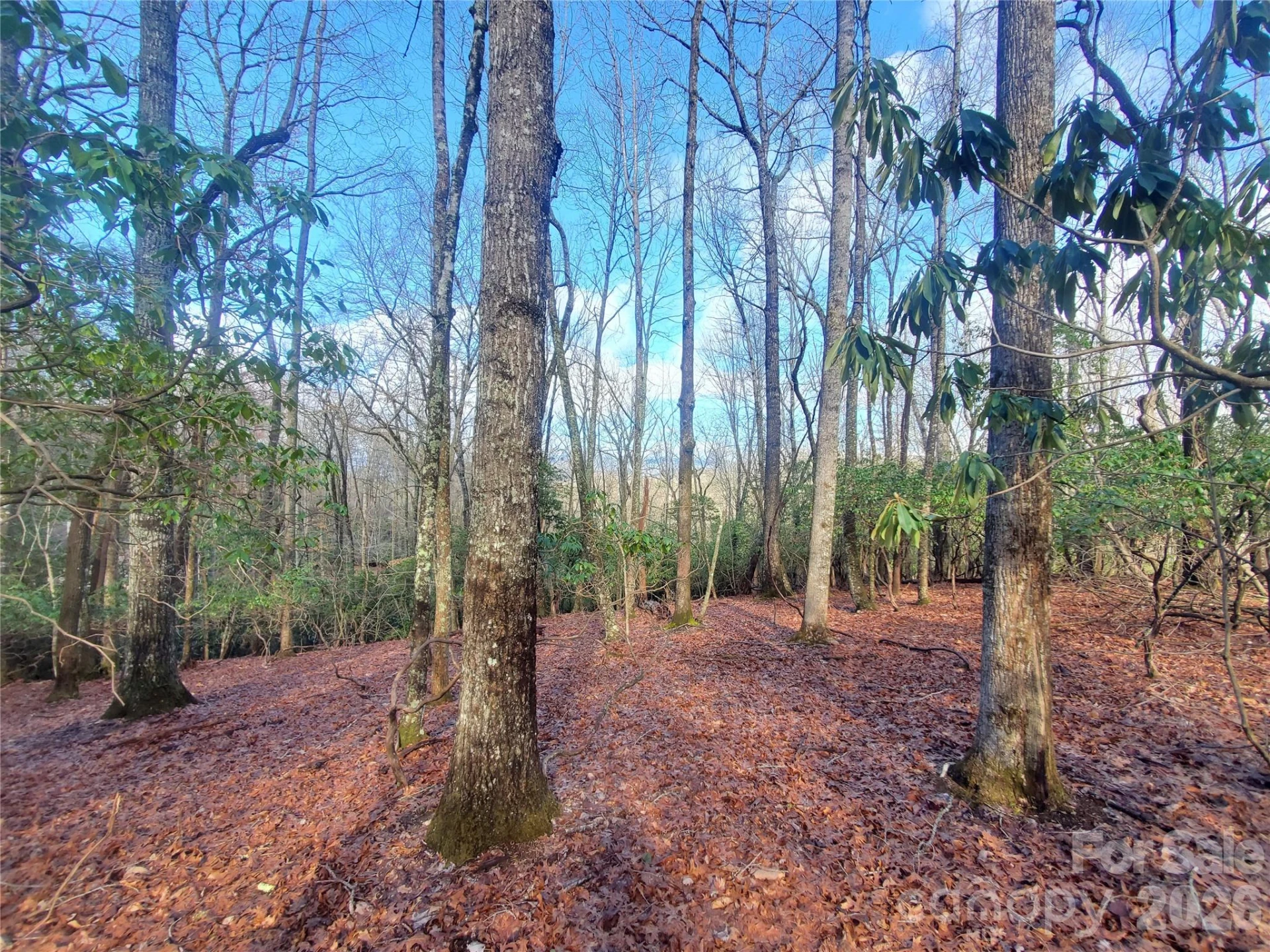 TBD Skye Drive #803a & 803b - Photo 5