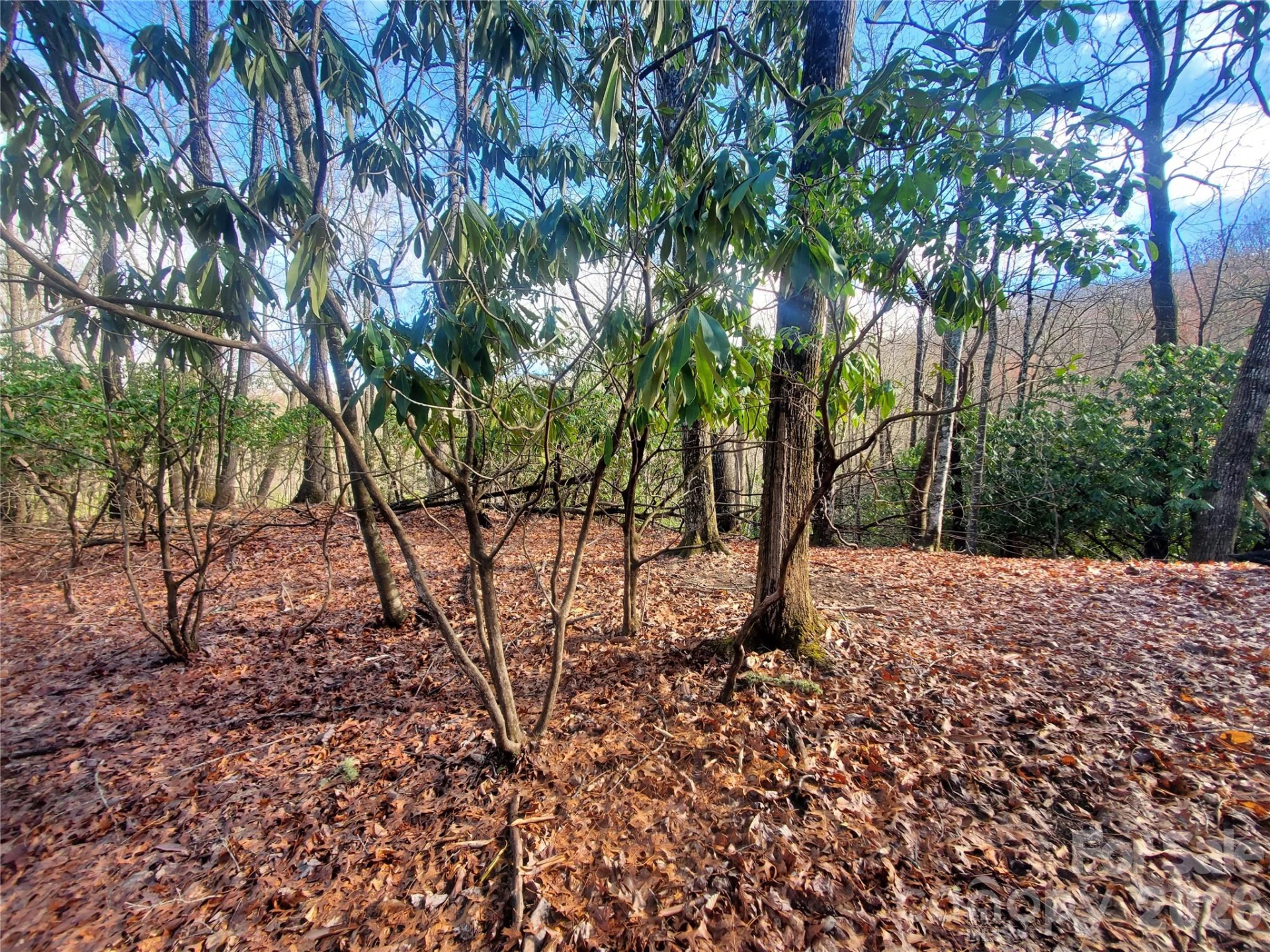 TBD Skye Drive #803a & 803b - Photo 6