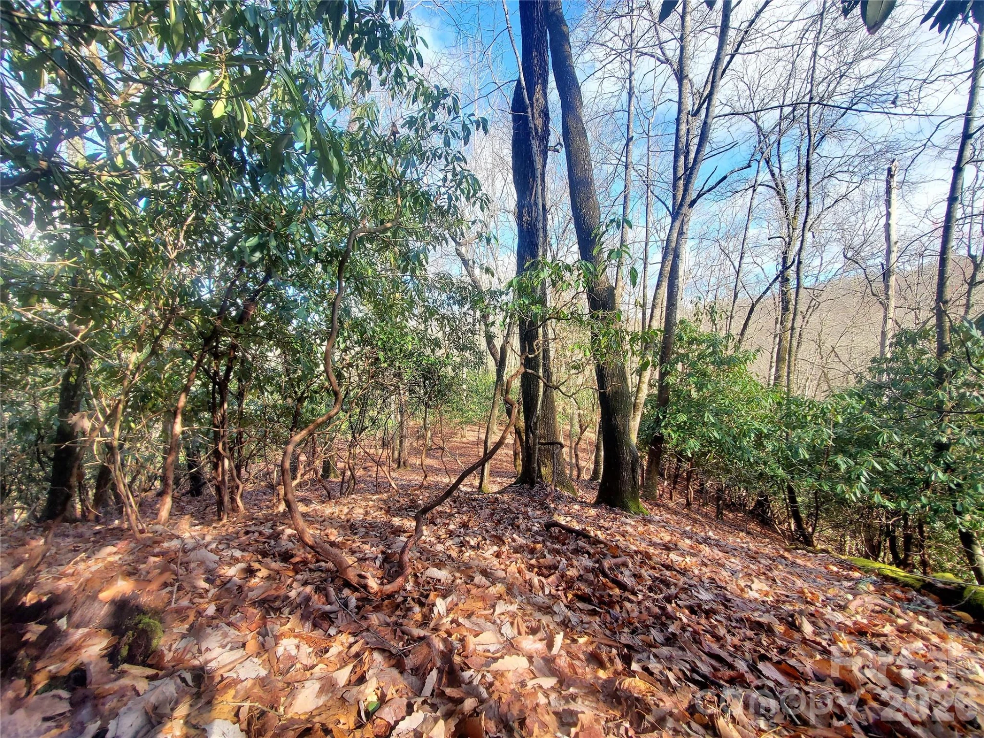 TBD Skye Drive #803a & 803b - Photo 8