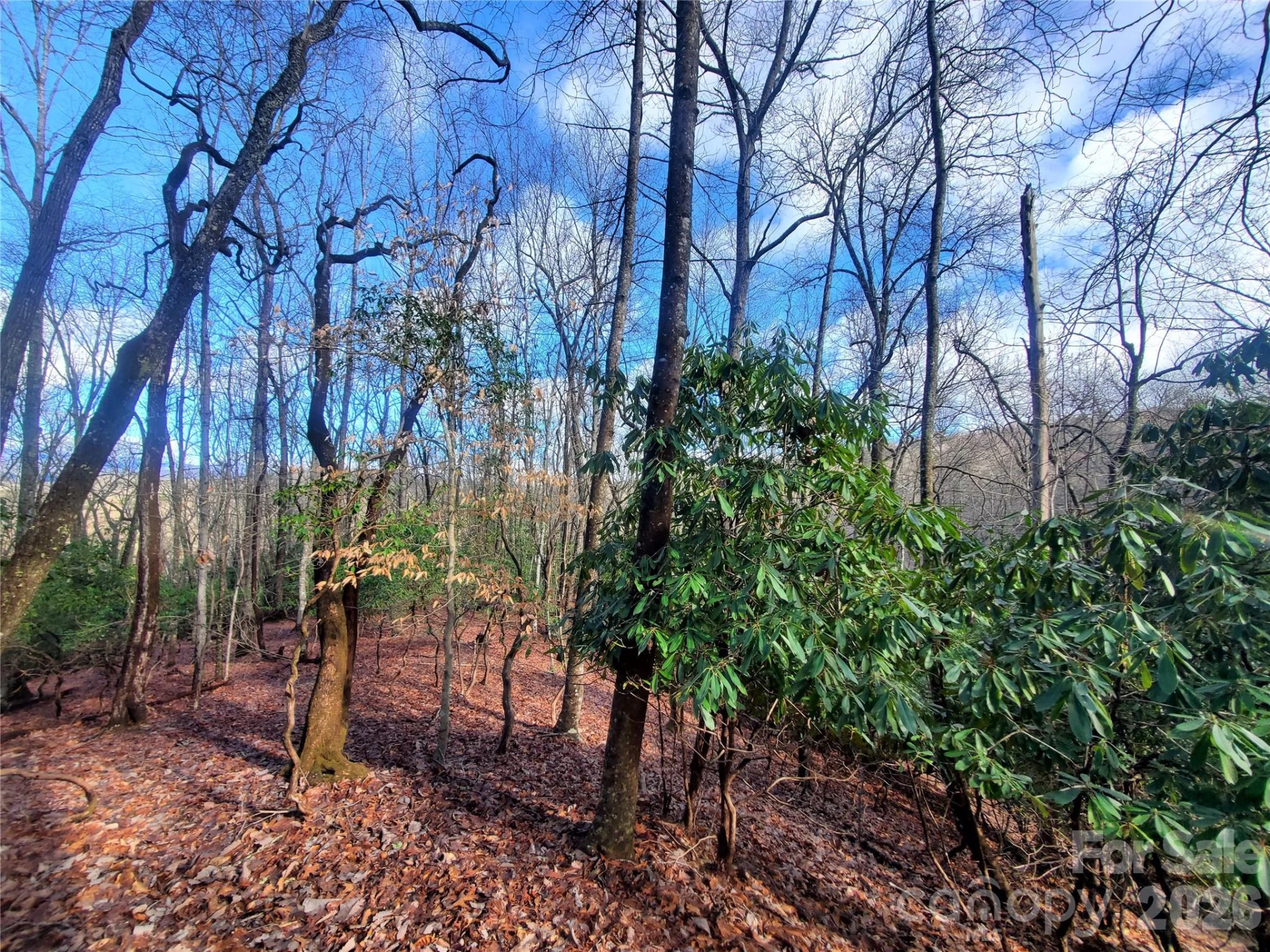 TBD Skye Drive #803a & 803b - Photo 9
