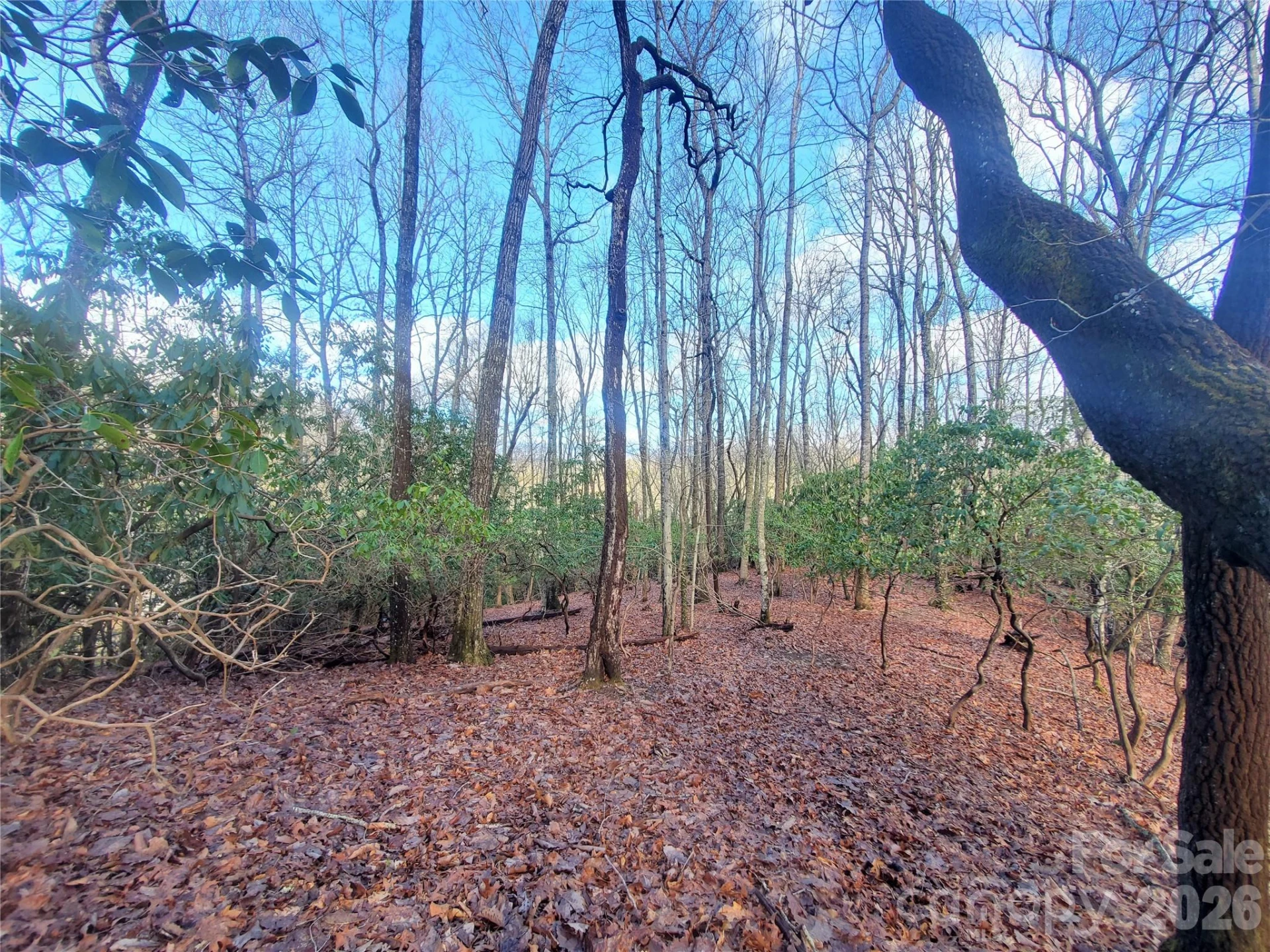 TBD Skye Drive #803a & 803b - Photo 10