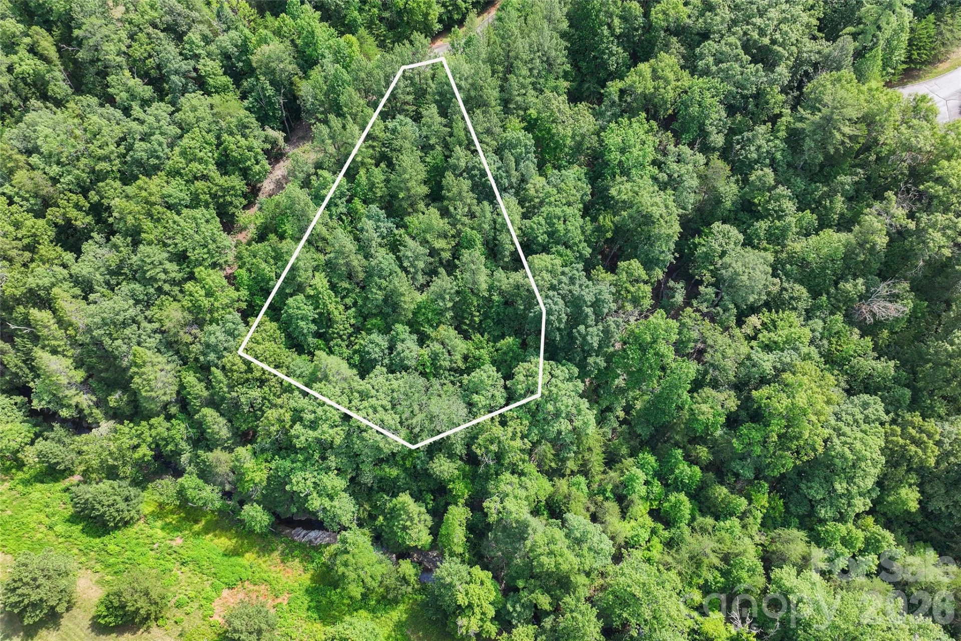 Lot 24 Monteith Place - Photo 2