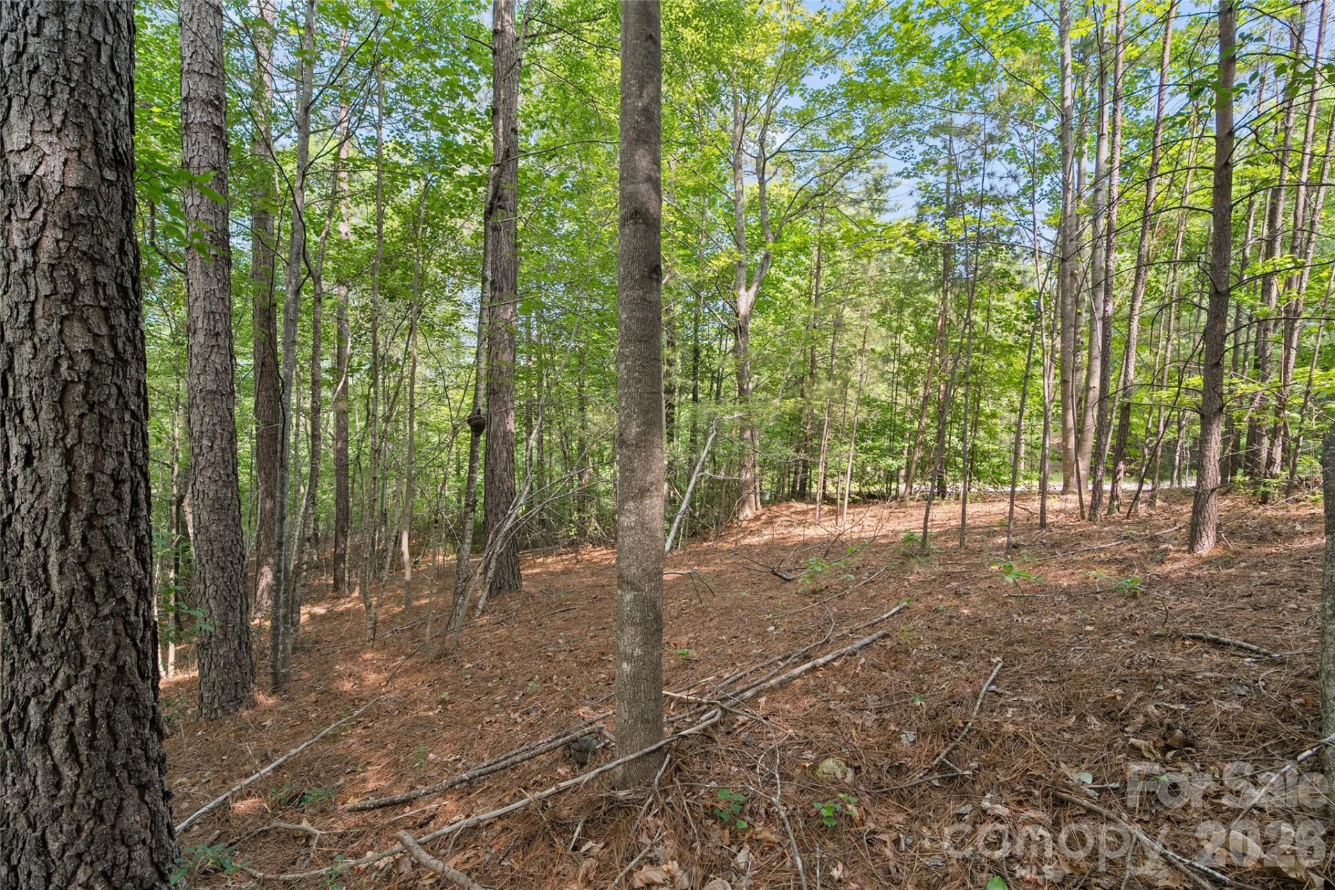 Lot 24 Monteith Place - Photo 6
