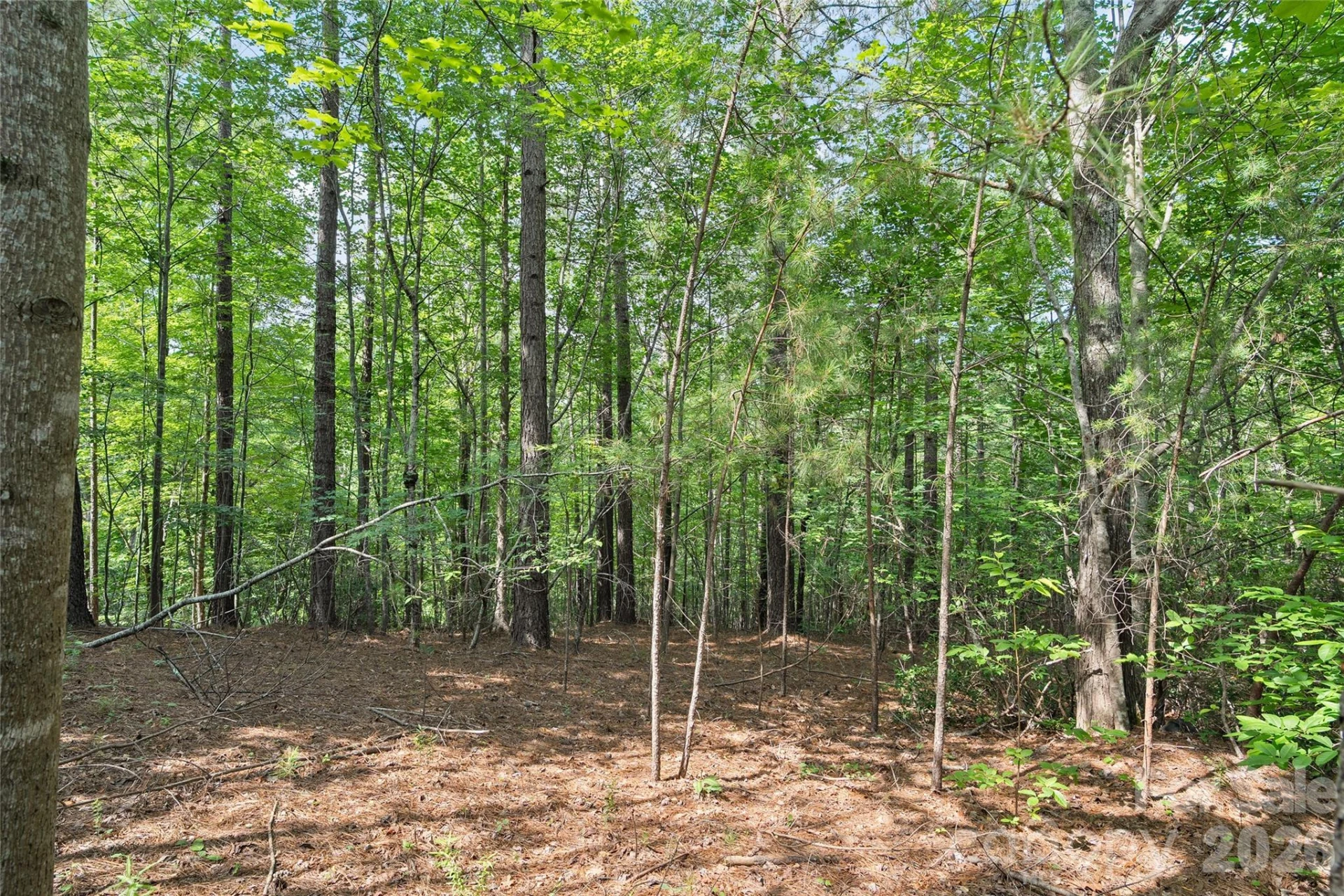 Lot 24 Monteith Place - Photo 8