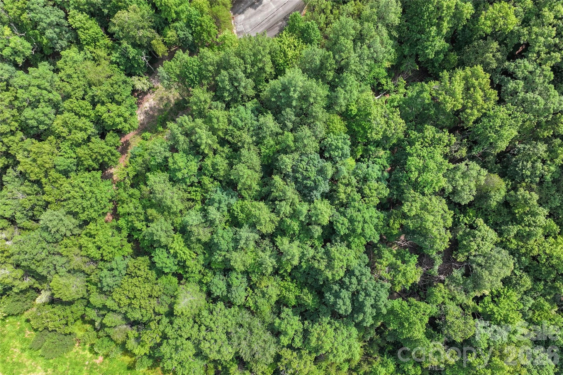 Lot 24 Monteith Place - Photo 9