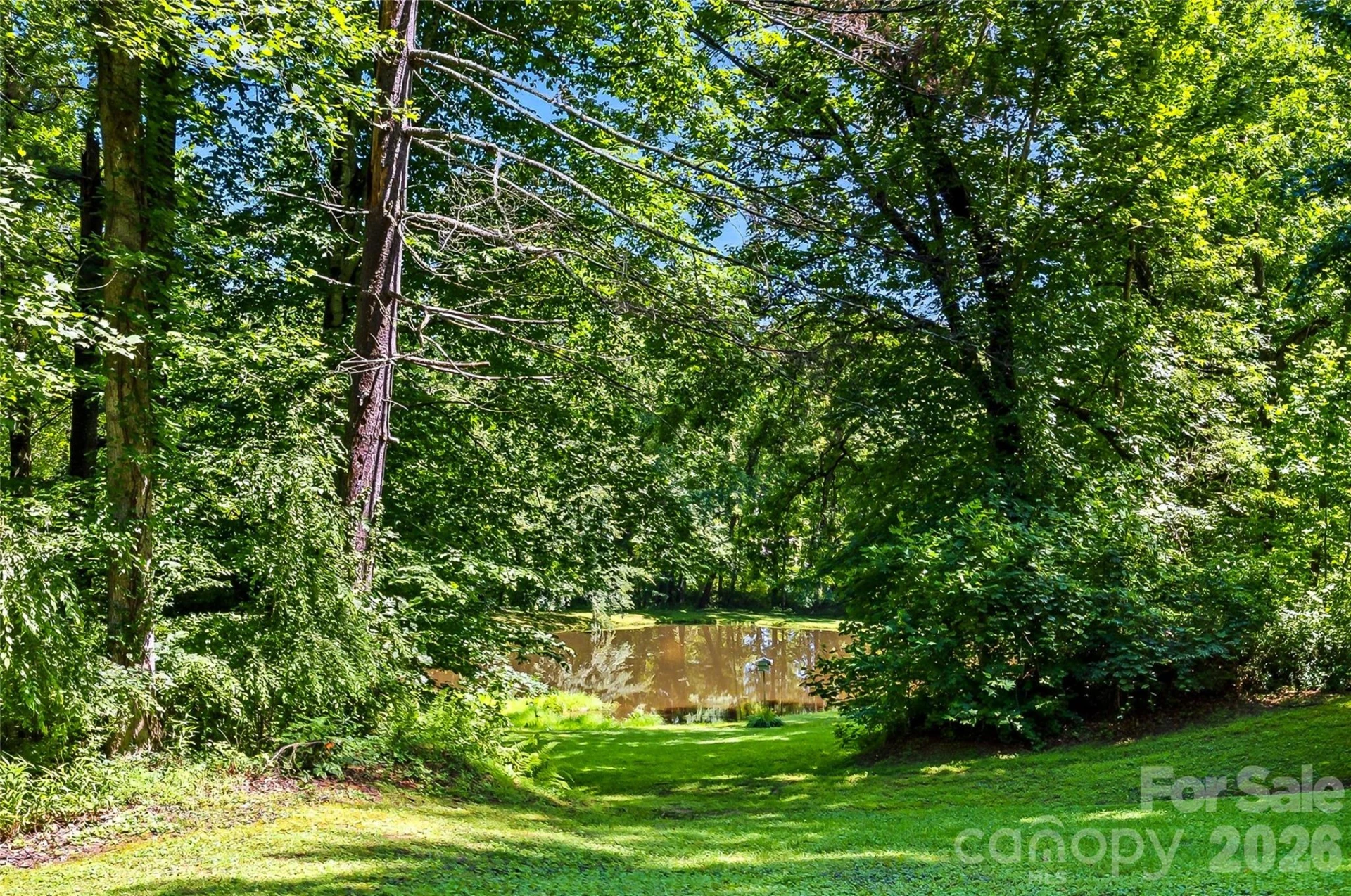 27 Unity Court - Photo 31