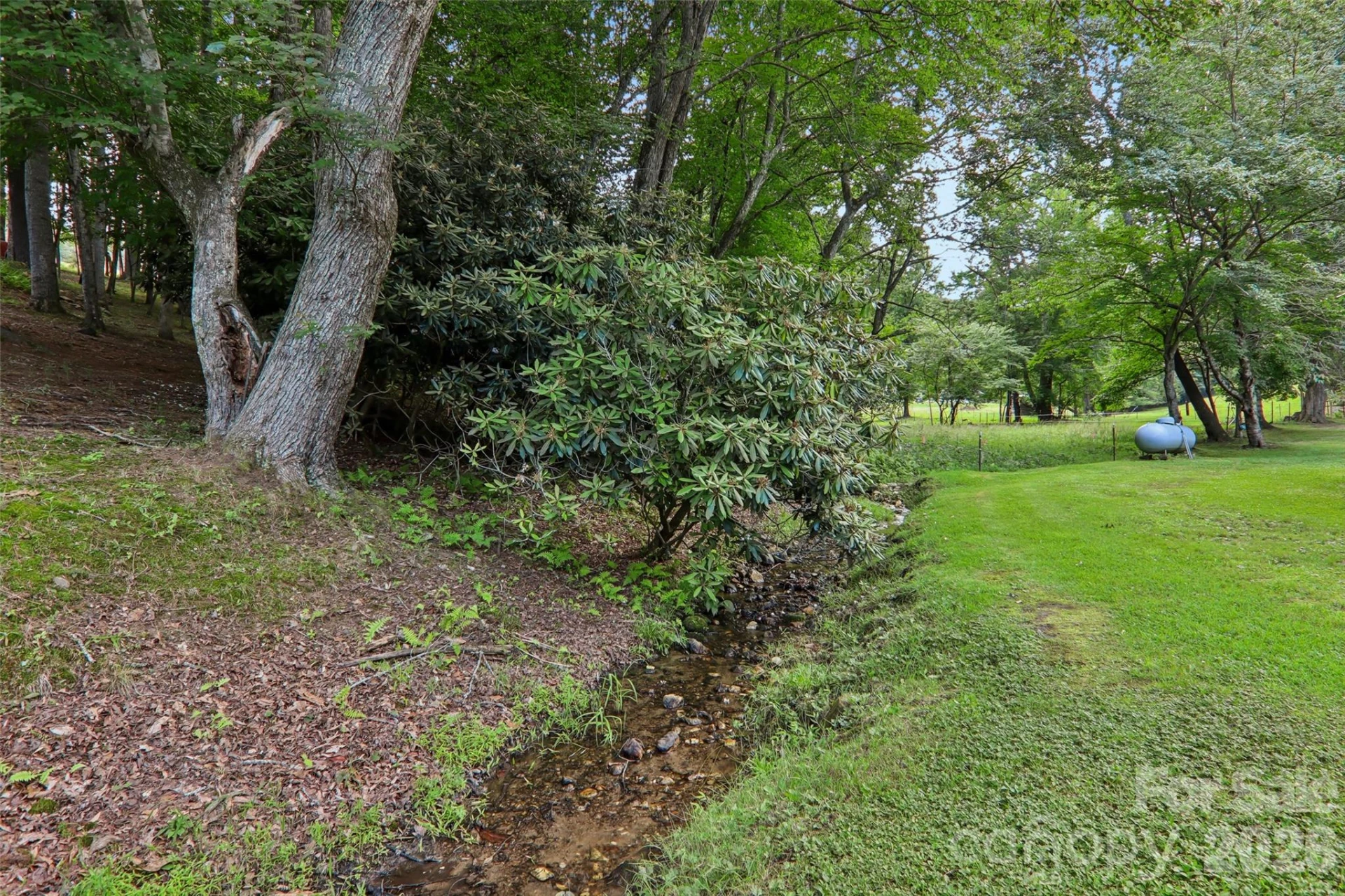 611 Reeves Cove Road - Photo 43