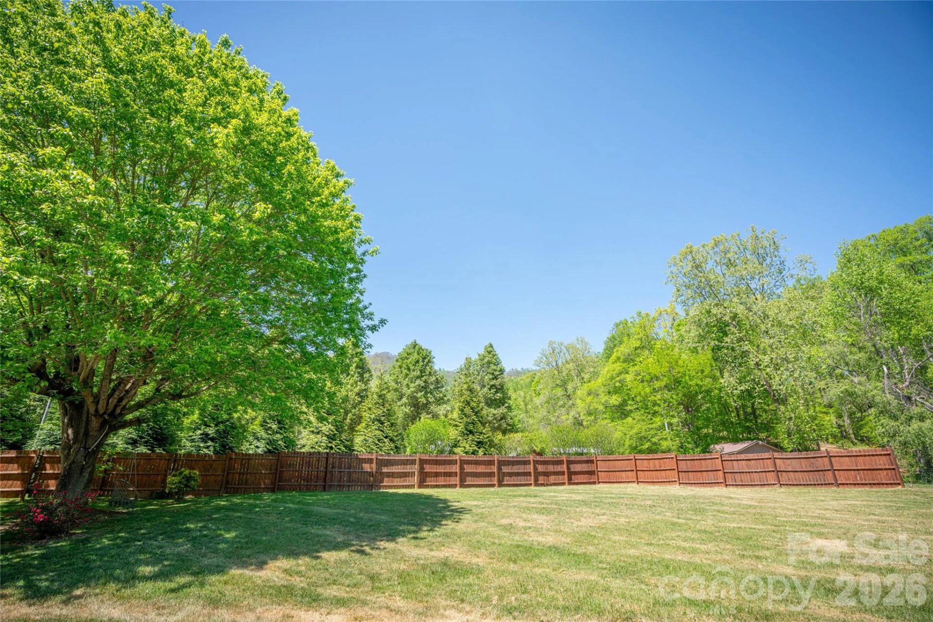 7 Lula Cove Road - Photo 6