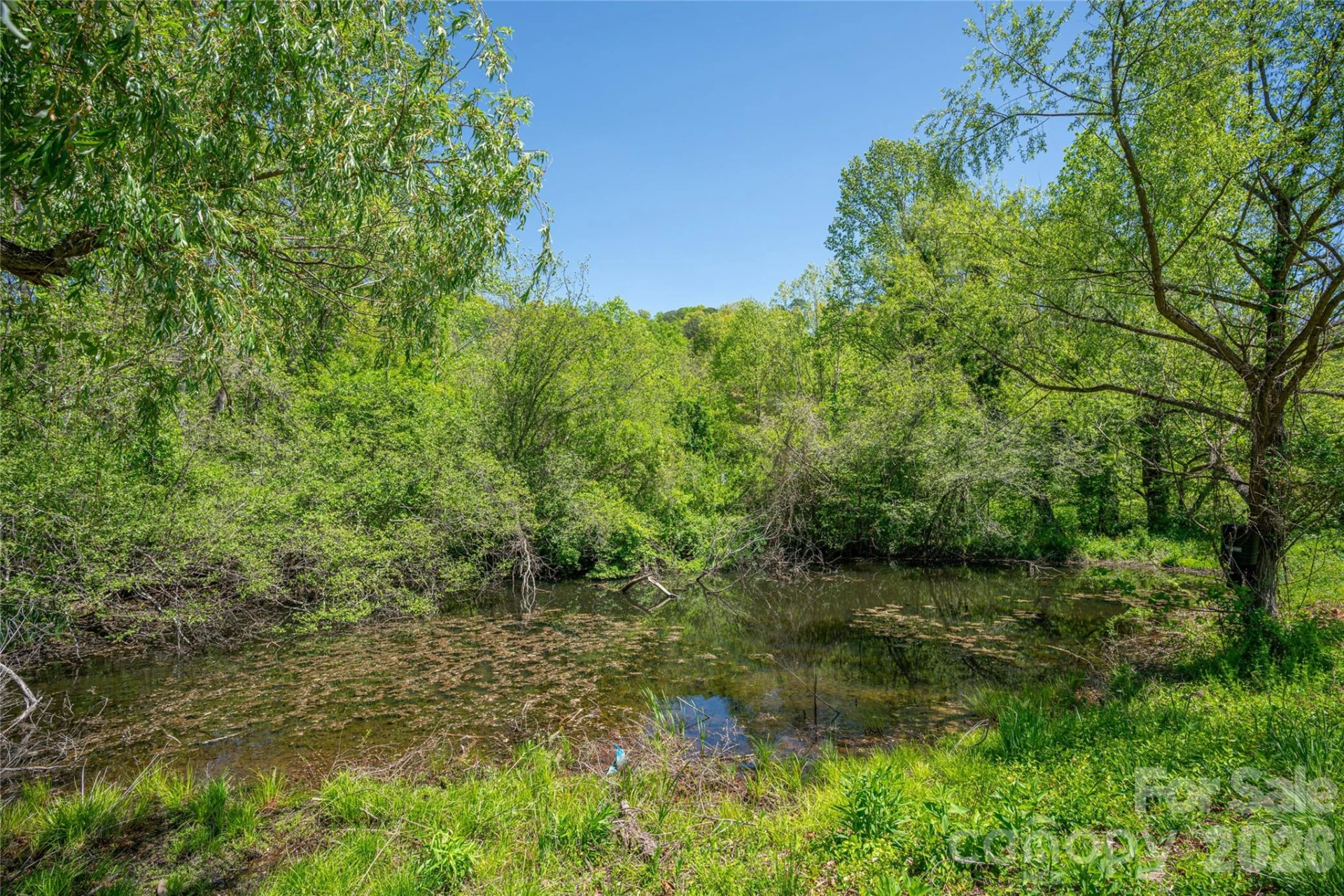 7 Lula Cove Road - Photo 9