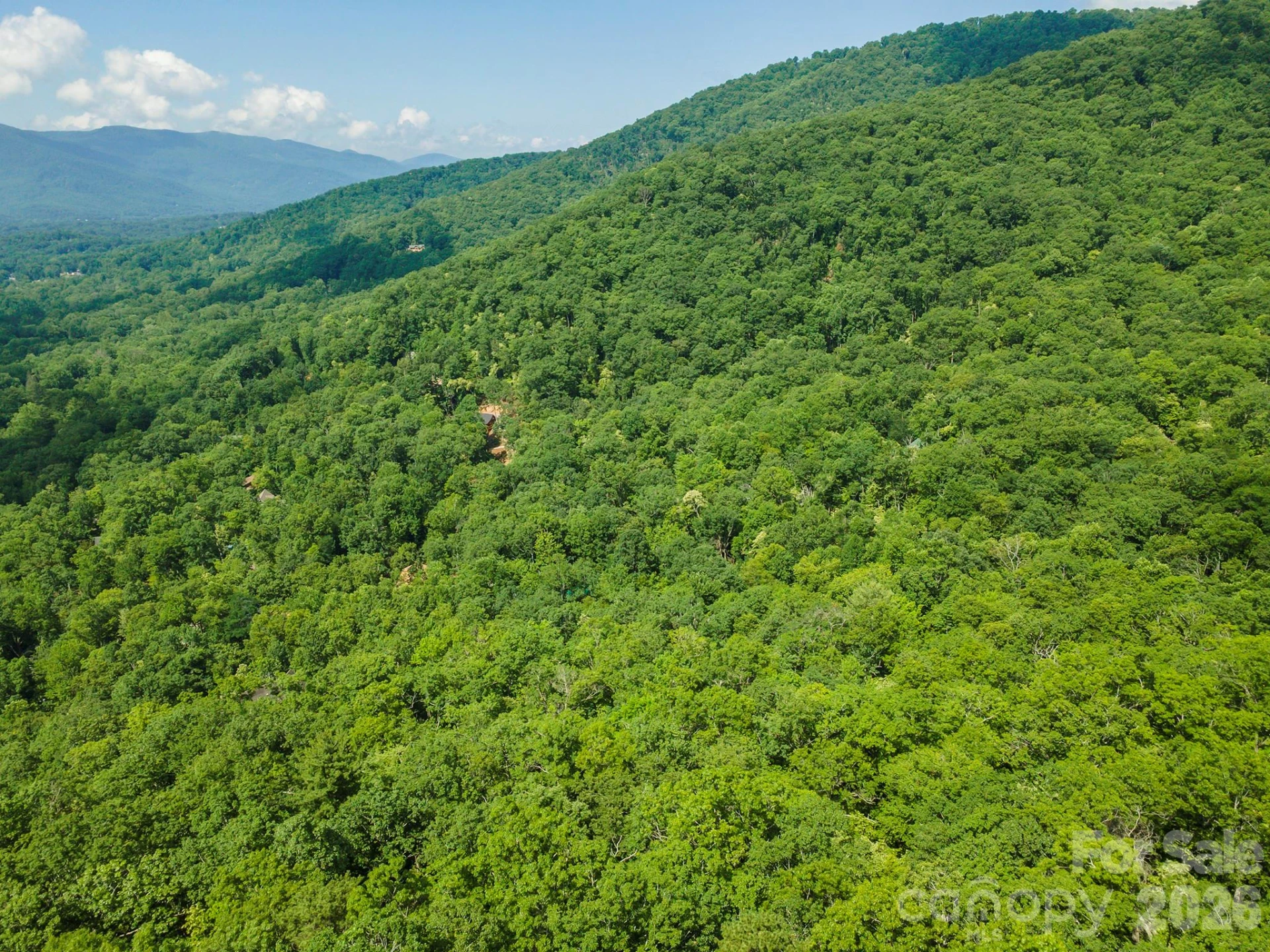 212 Harmony Lane - Photo 11