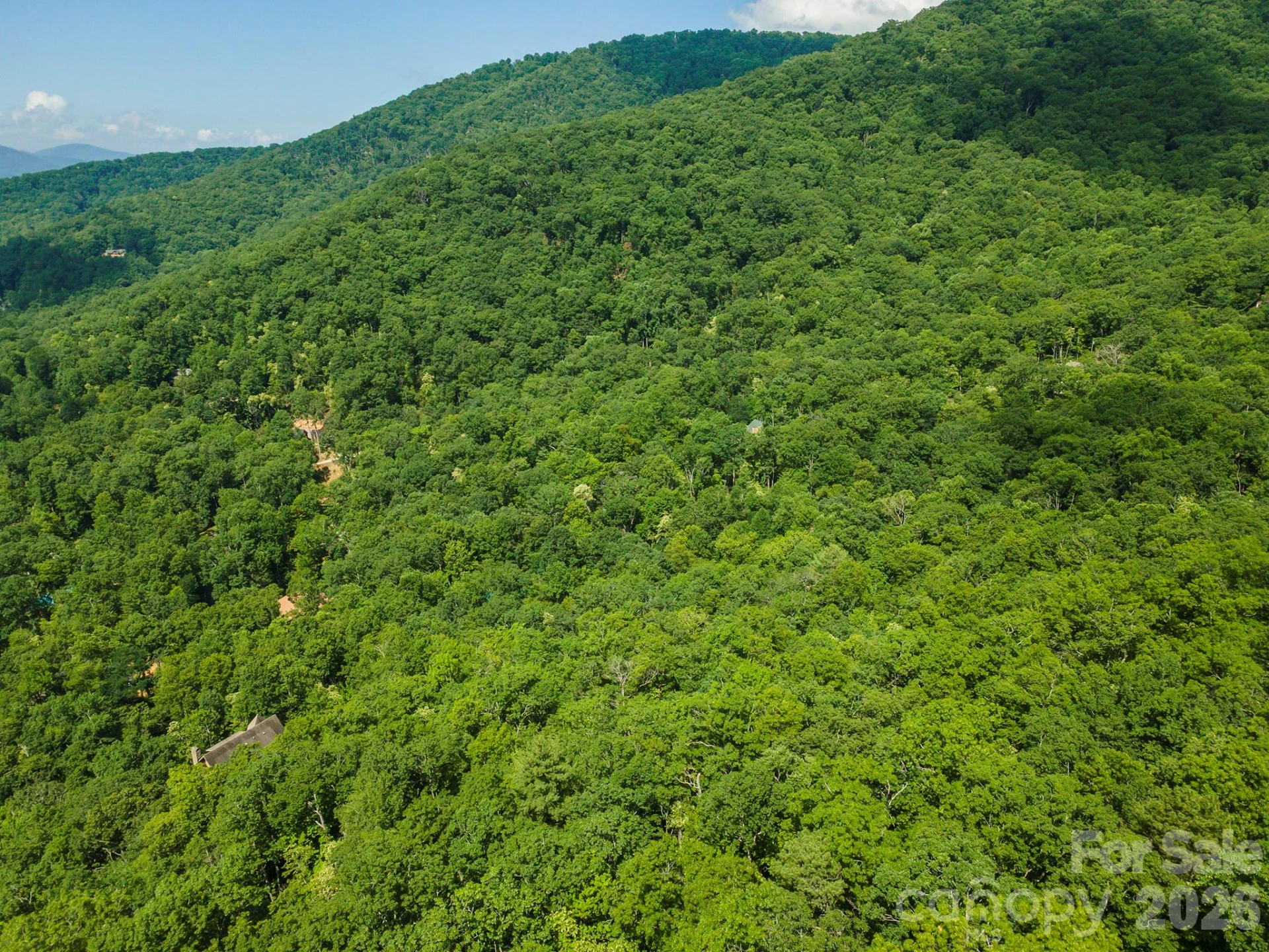 212 Harmony Lane - Photo 12