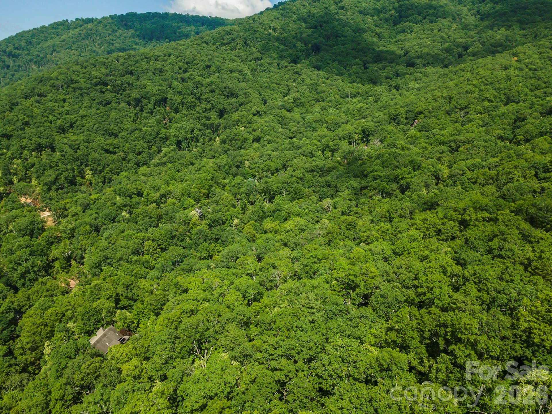 212 Harmony Lane - Photo 13