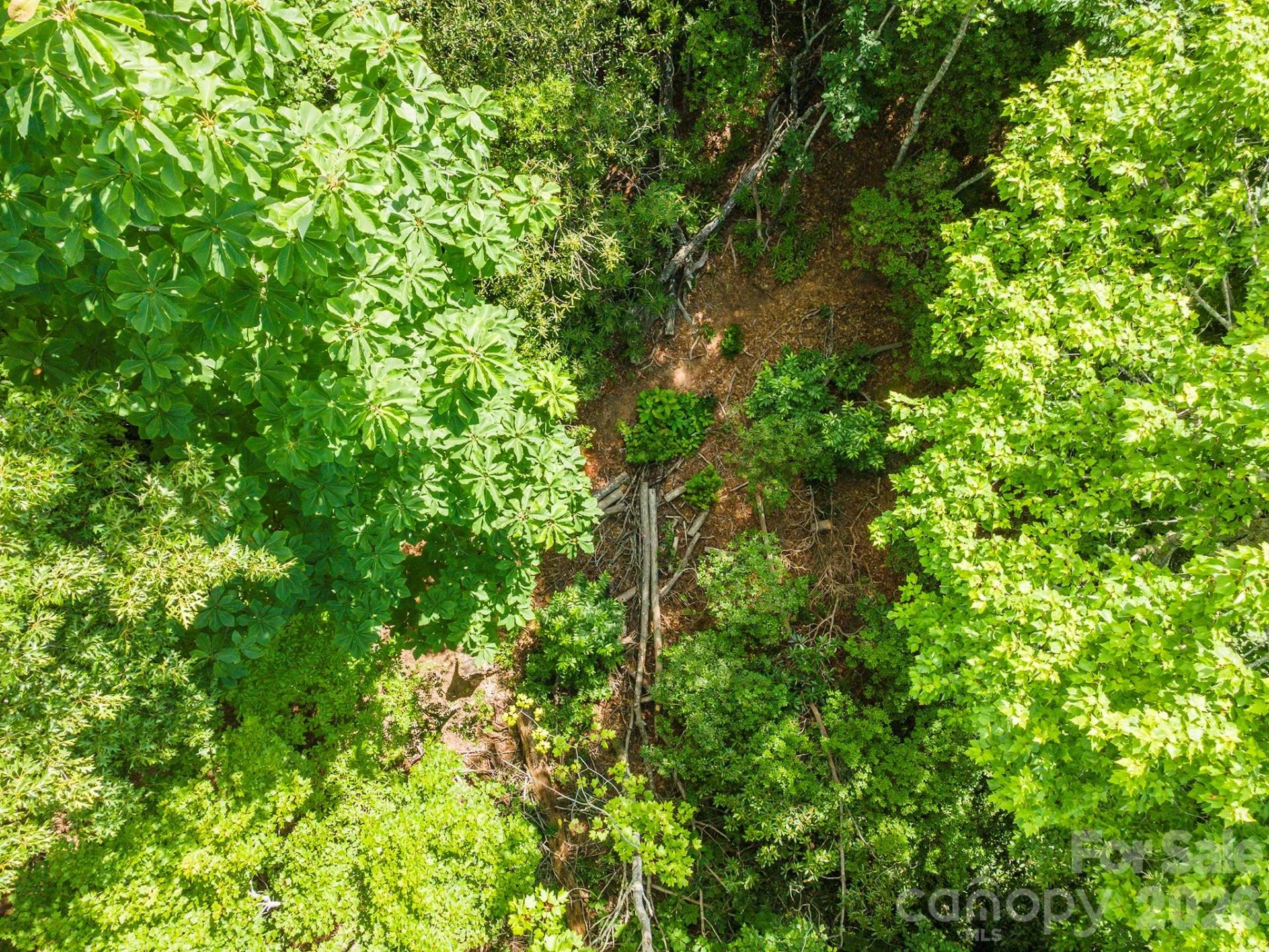 212 Harmony Lane - Photo 18