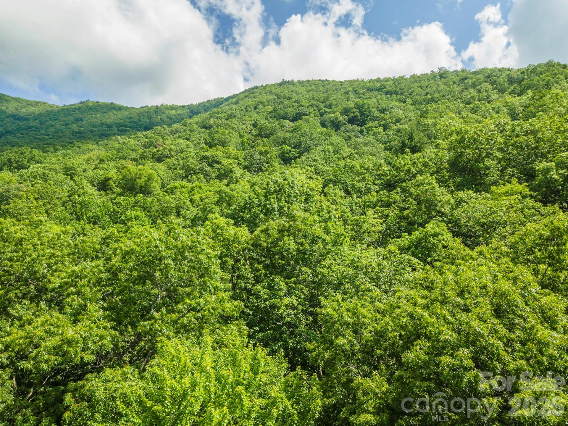212 Harmony Lane - Photo 22