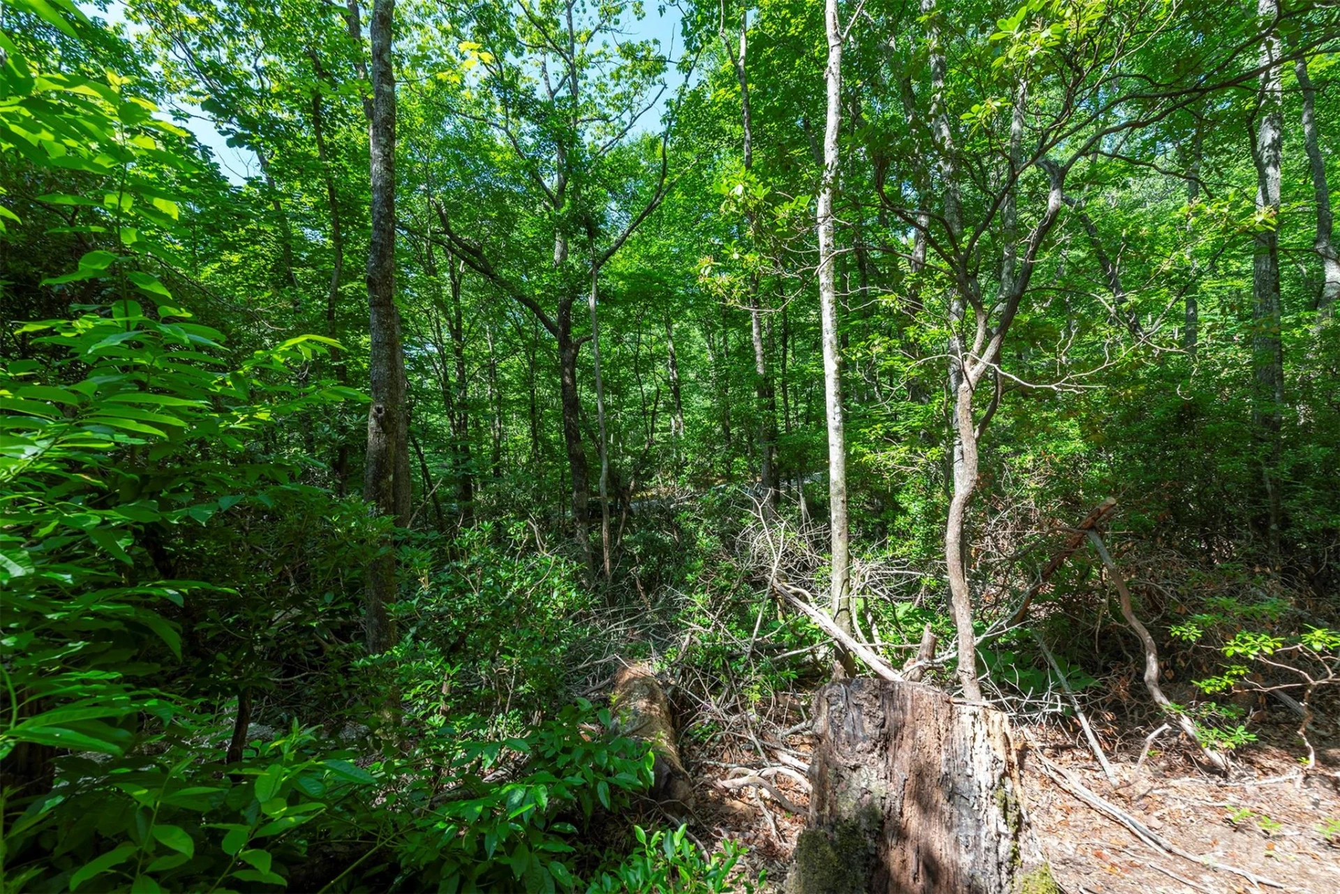 212 Harmony Lane - Photo 25