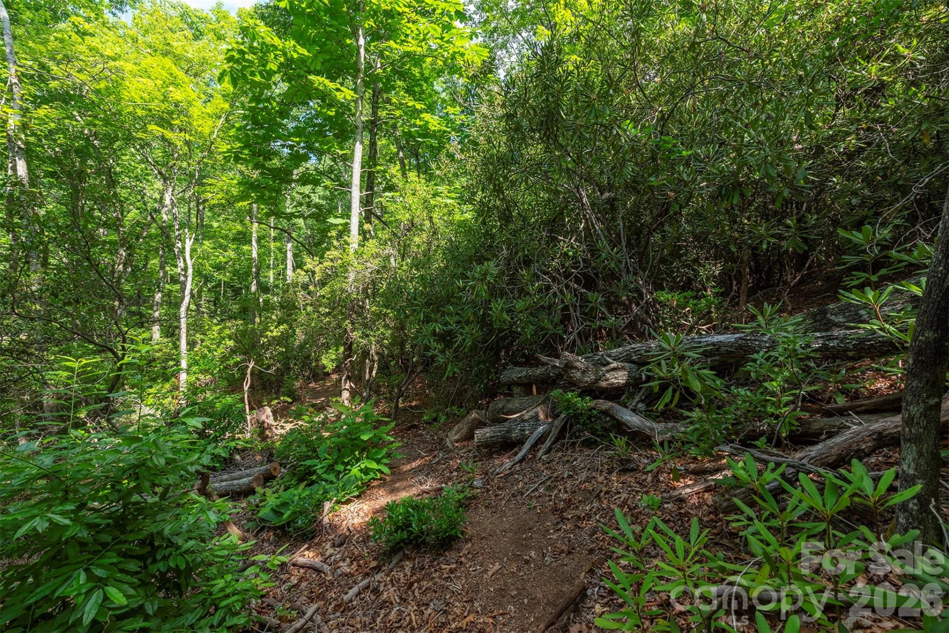 212 Harmony Lane - Photo 28