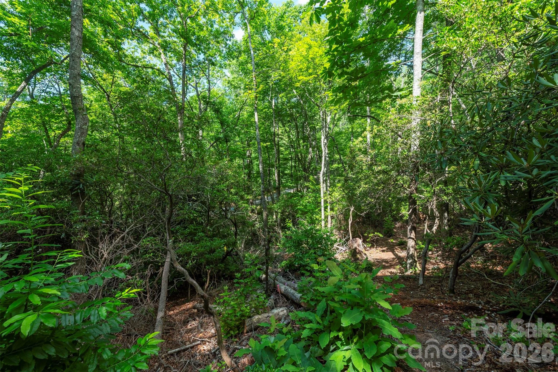 212 Harmony Lane - Photo 30