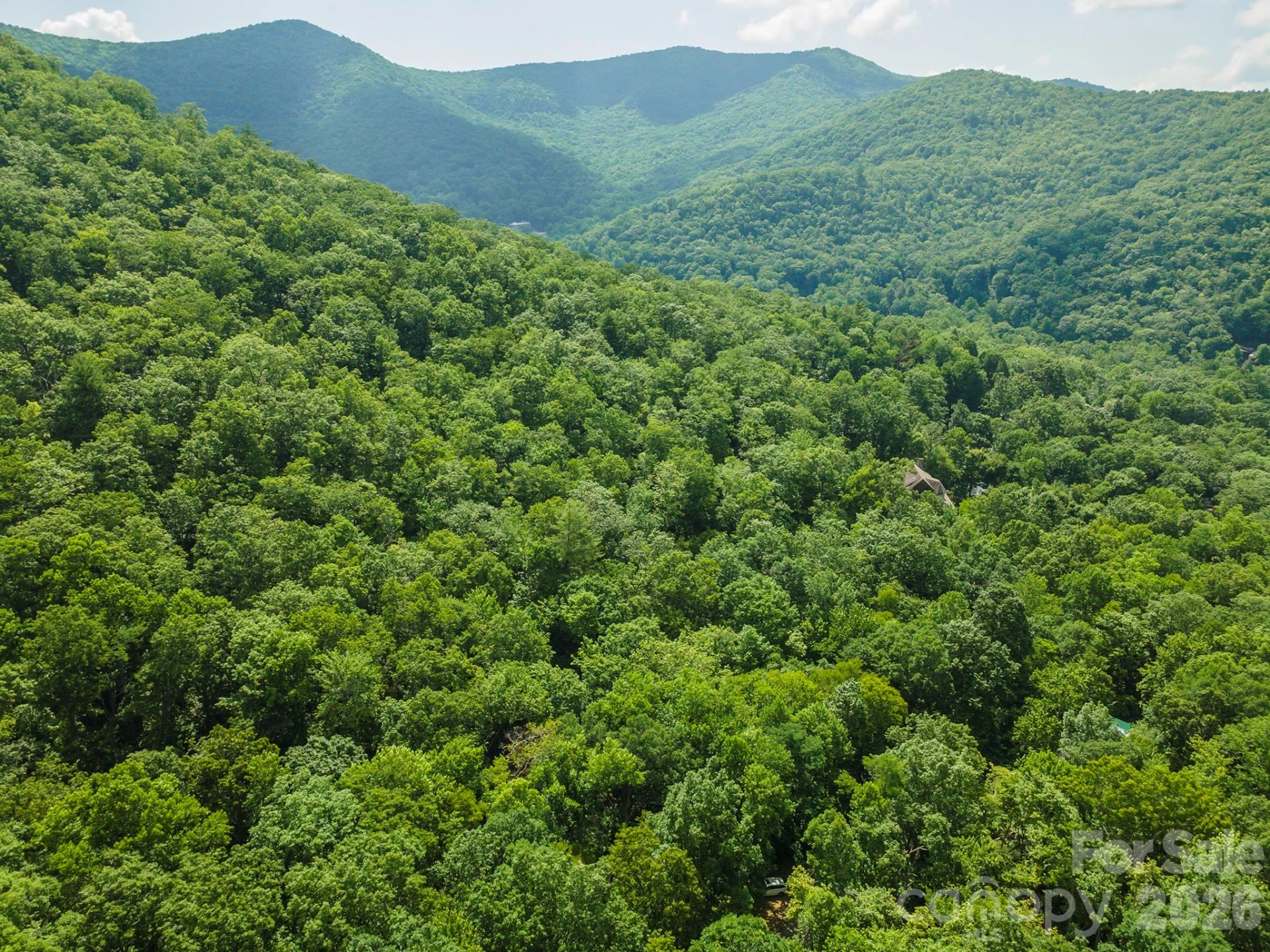 212 Harmony Lane - Photo 4