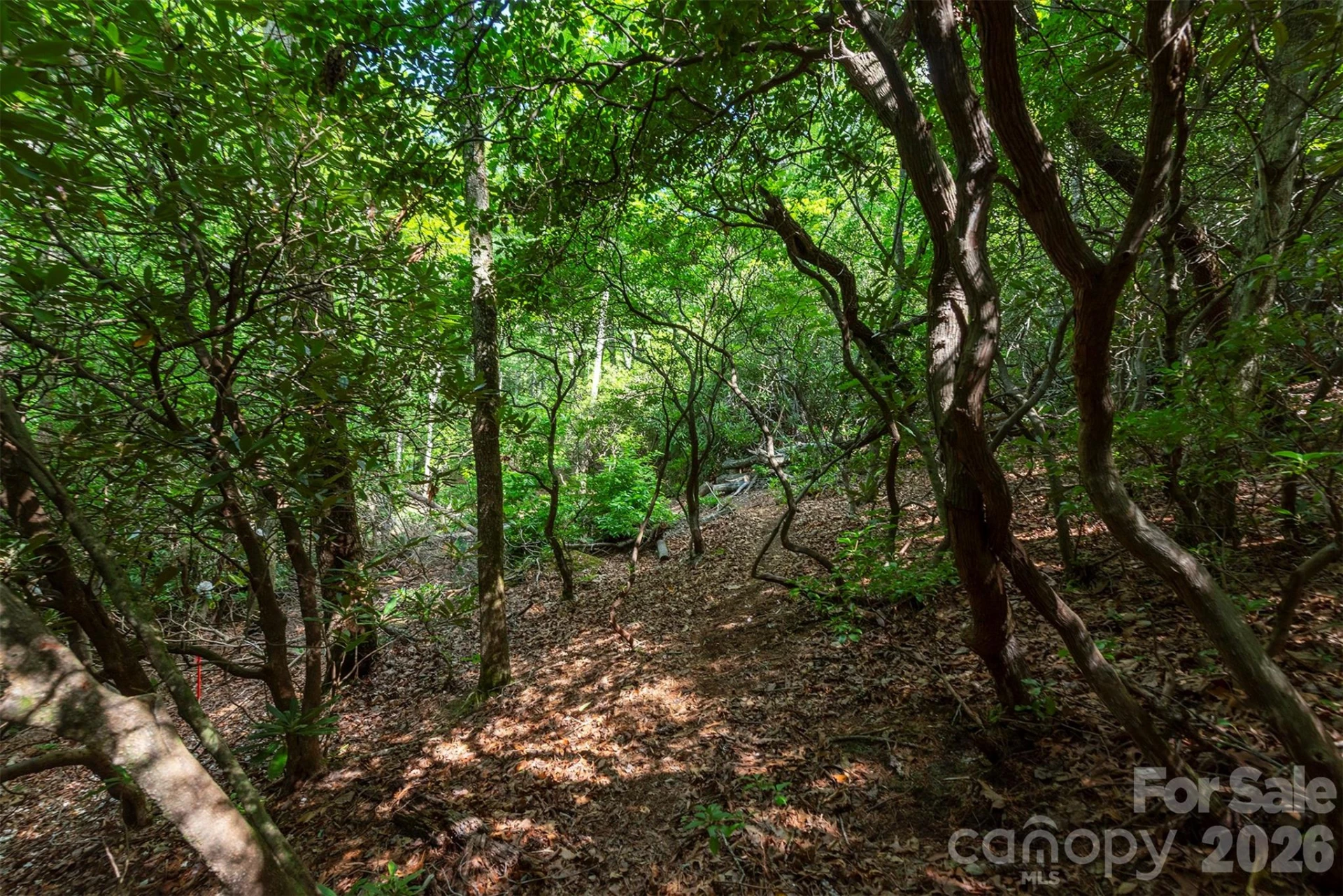 212 Harmony Lane - Photo 31