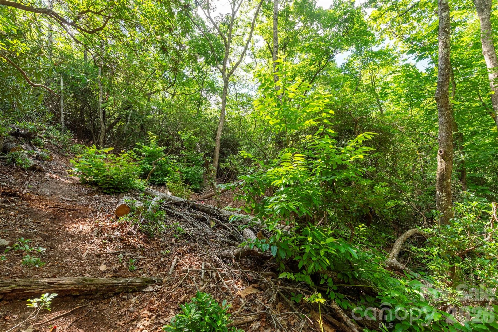 212 Harmony Lane - Photo 33