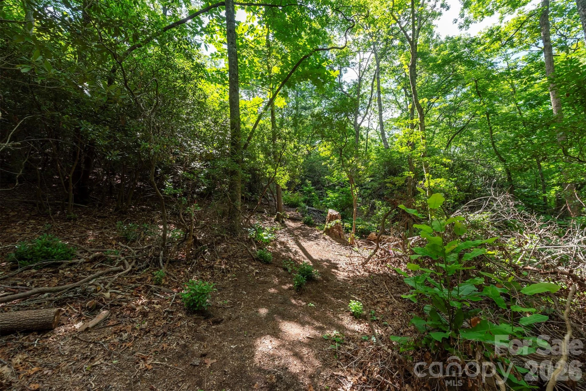 212 Harmony Lane - Photo 34