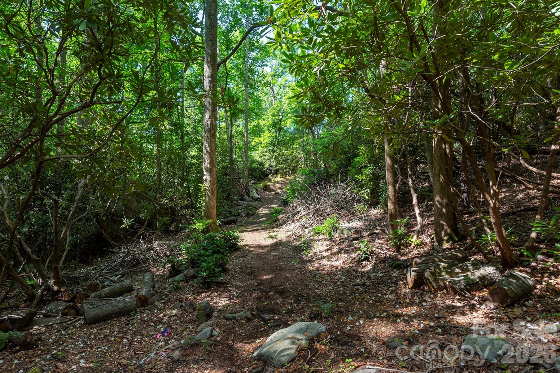 212 Harmony Lane - Photo 37