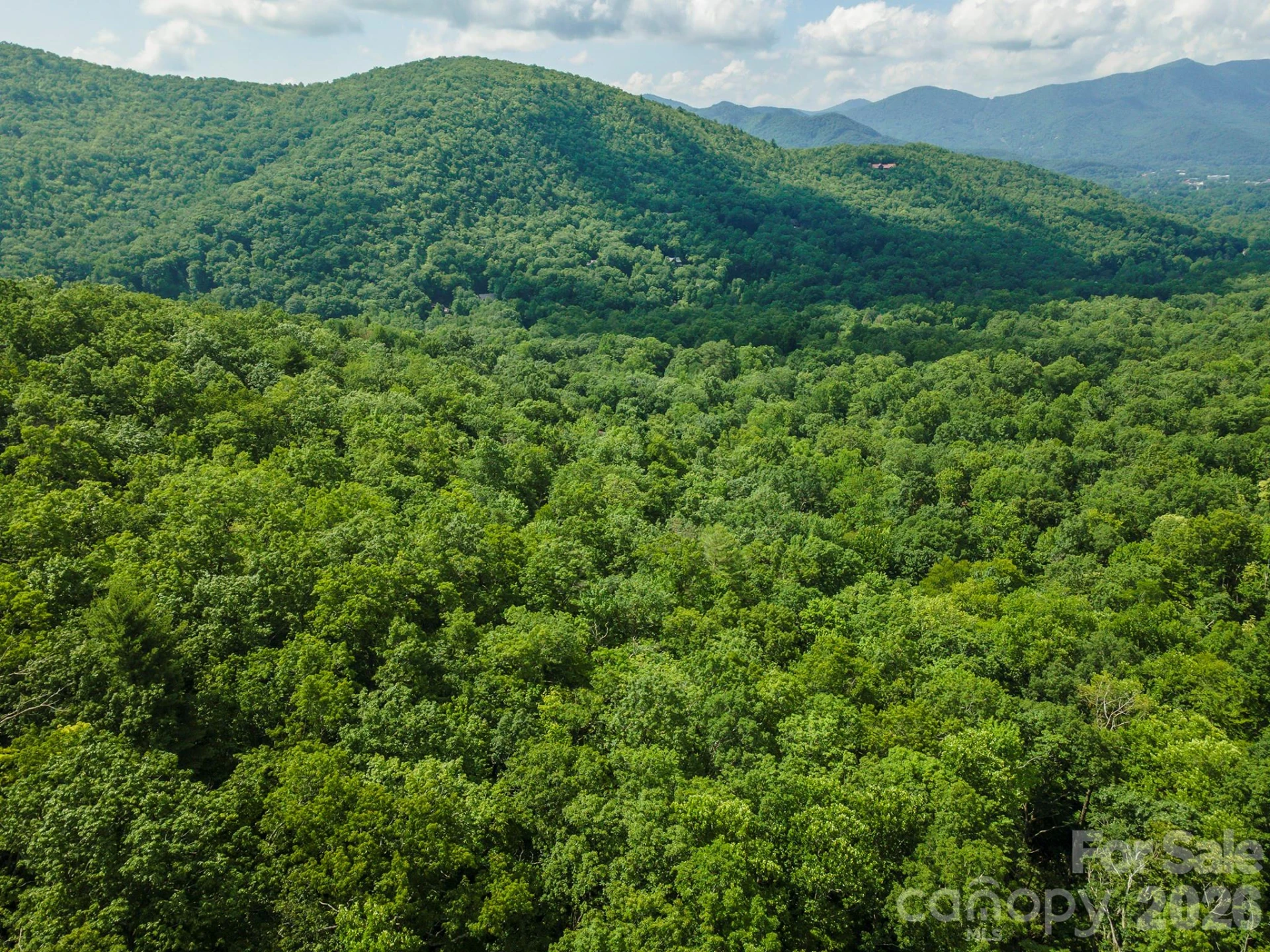 212 Harmony Lane - Photo 7