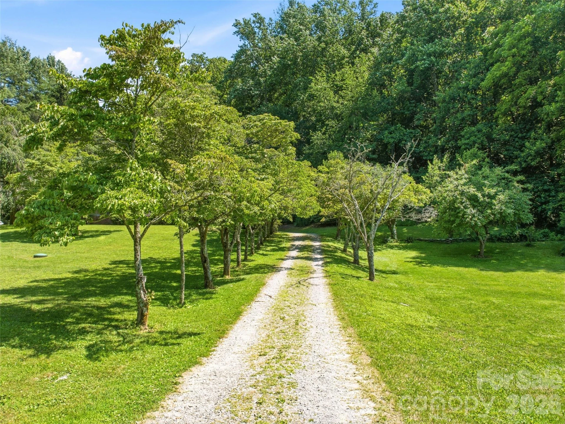 252 Big Stomp Road - Photo 11