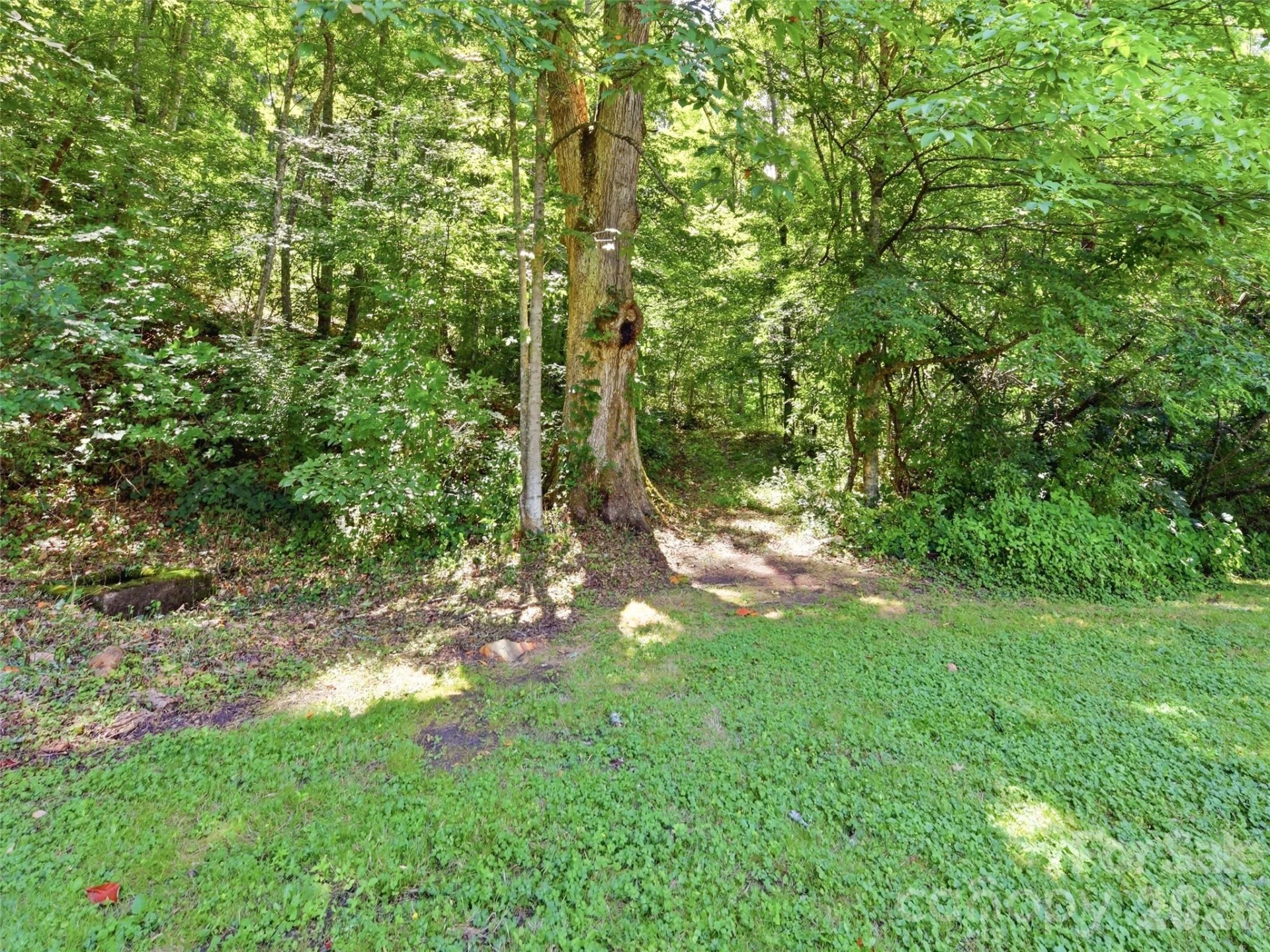 252 Big Stomp Road - Photo 45